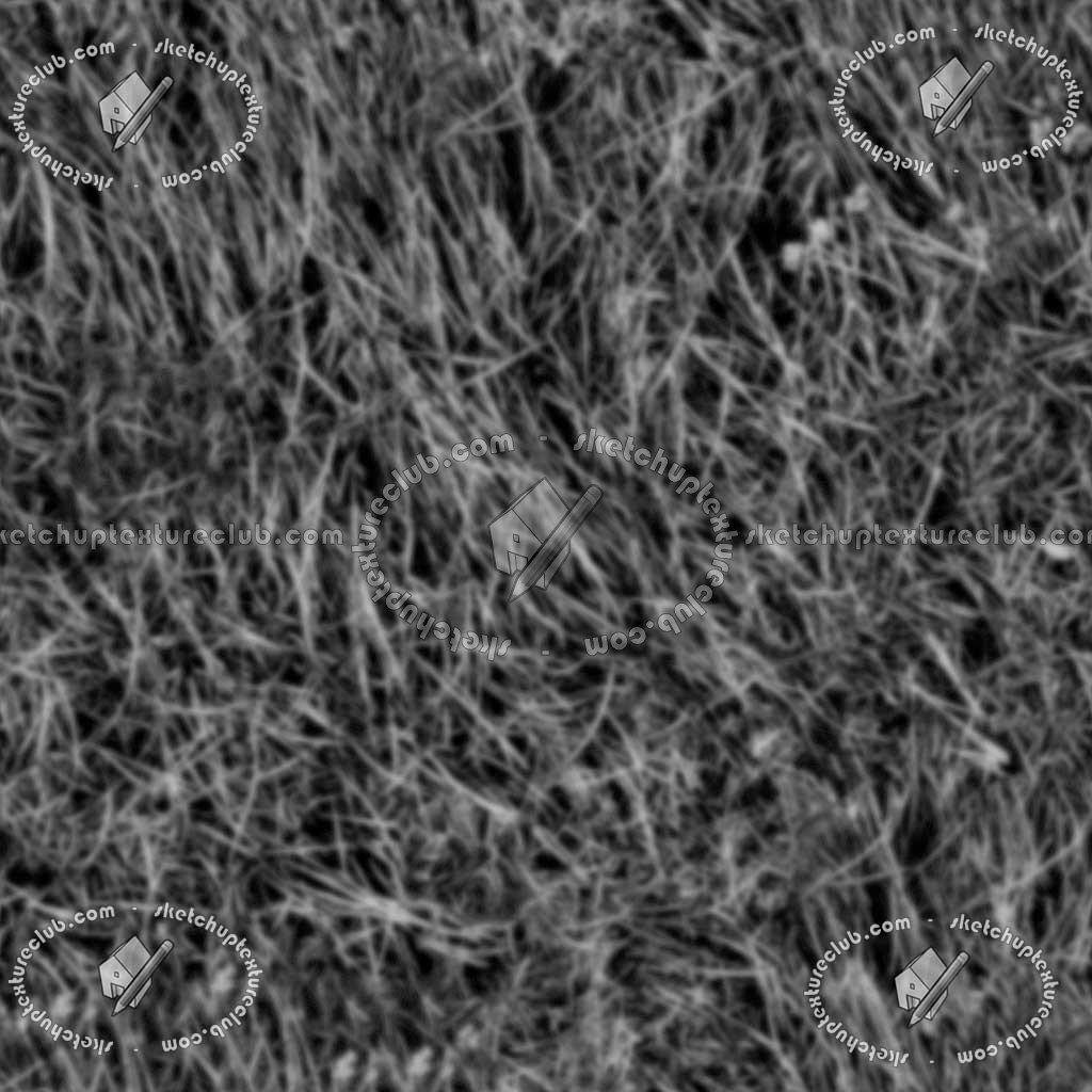 Textures   -   NATURE ELEMENTS   -   VEGETATION   -   Green grass  - Green grass texture seamless 12968 - Displacement