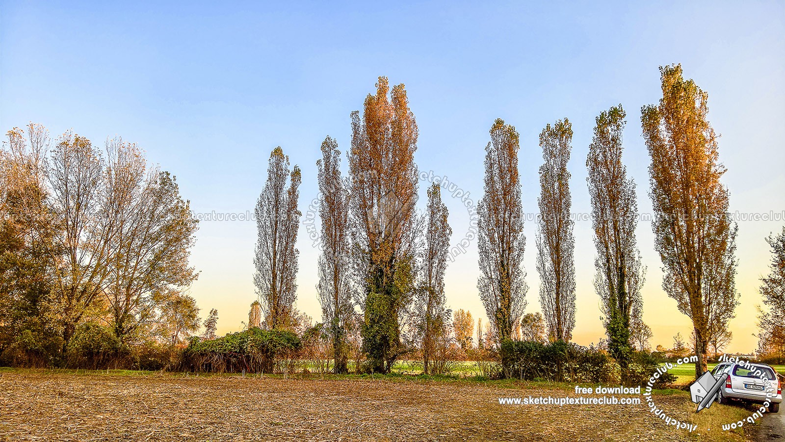Textures   -   BACKGROUNDS & LANDSCAPES   -   NATURE   -   Countrysides & Hills  - Country landscape with trees background hdr 20998