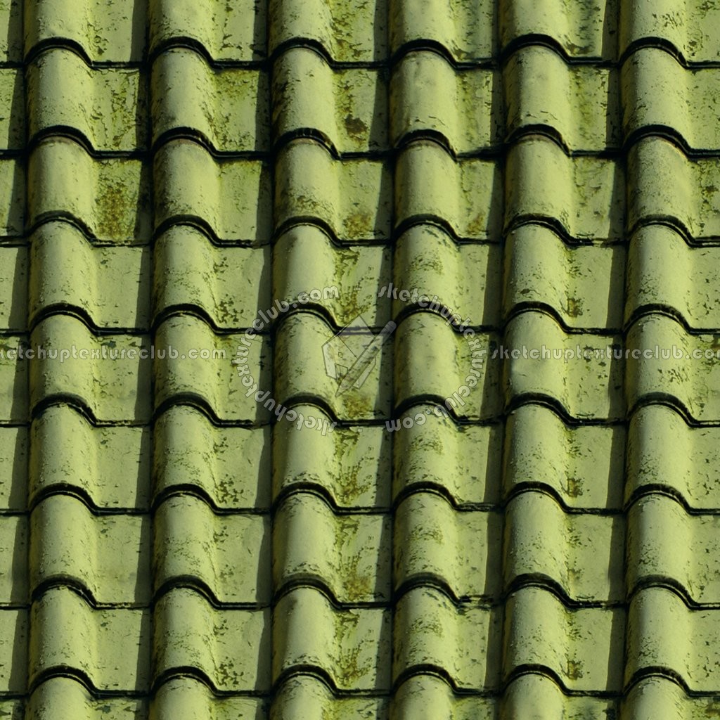 Textures   -   ARCHITECTURE   -   ROOFINGS   -   Clay roofs  - Clay roof texture seamless 19589 (seamless)