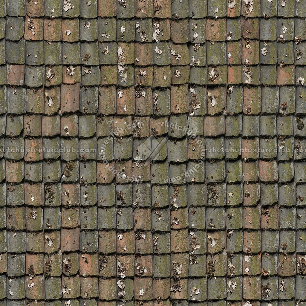 Textures   -   ARCHITECTURE   -   ROOFINGS   -   Clay roofs  - Clay roof with leaves texture seamless 21258 (seamless)