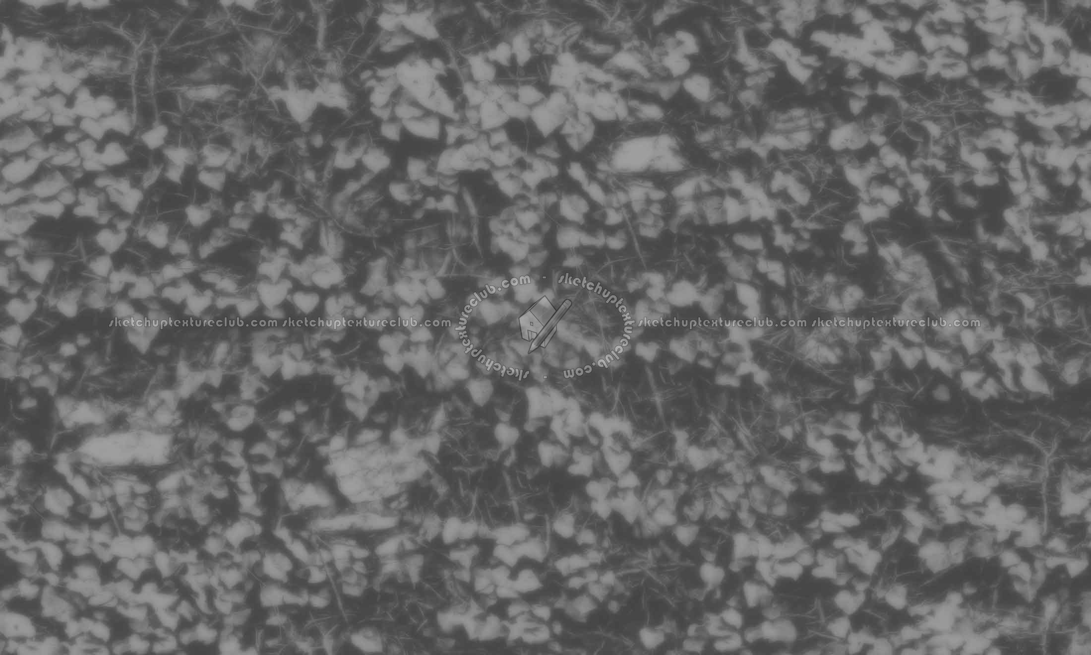 Textures   -   ARCHITECTURE   -   STONES WALLS   -   Stone walls  - Old wall stone with ivy texture seamless 20204 - Displacement