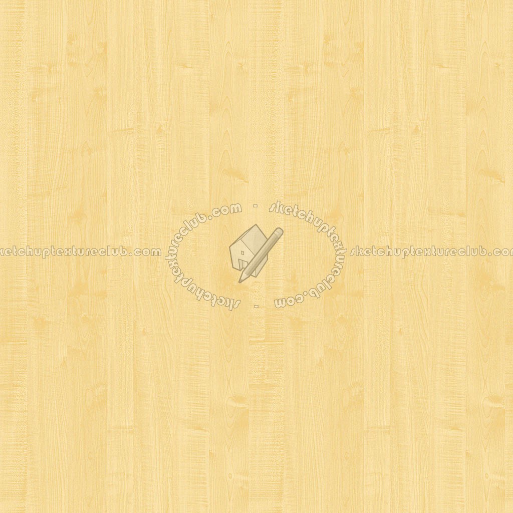 Textures   -   ARCHITECTURE   -   WOOD   -   Fine wood   -   Light wood  - Maple light wood fine texture seamless 04313 (seamless)