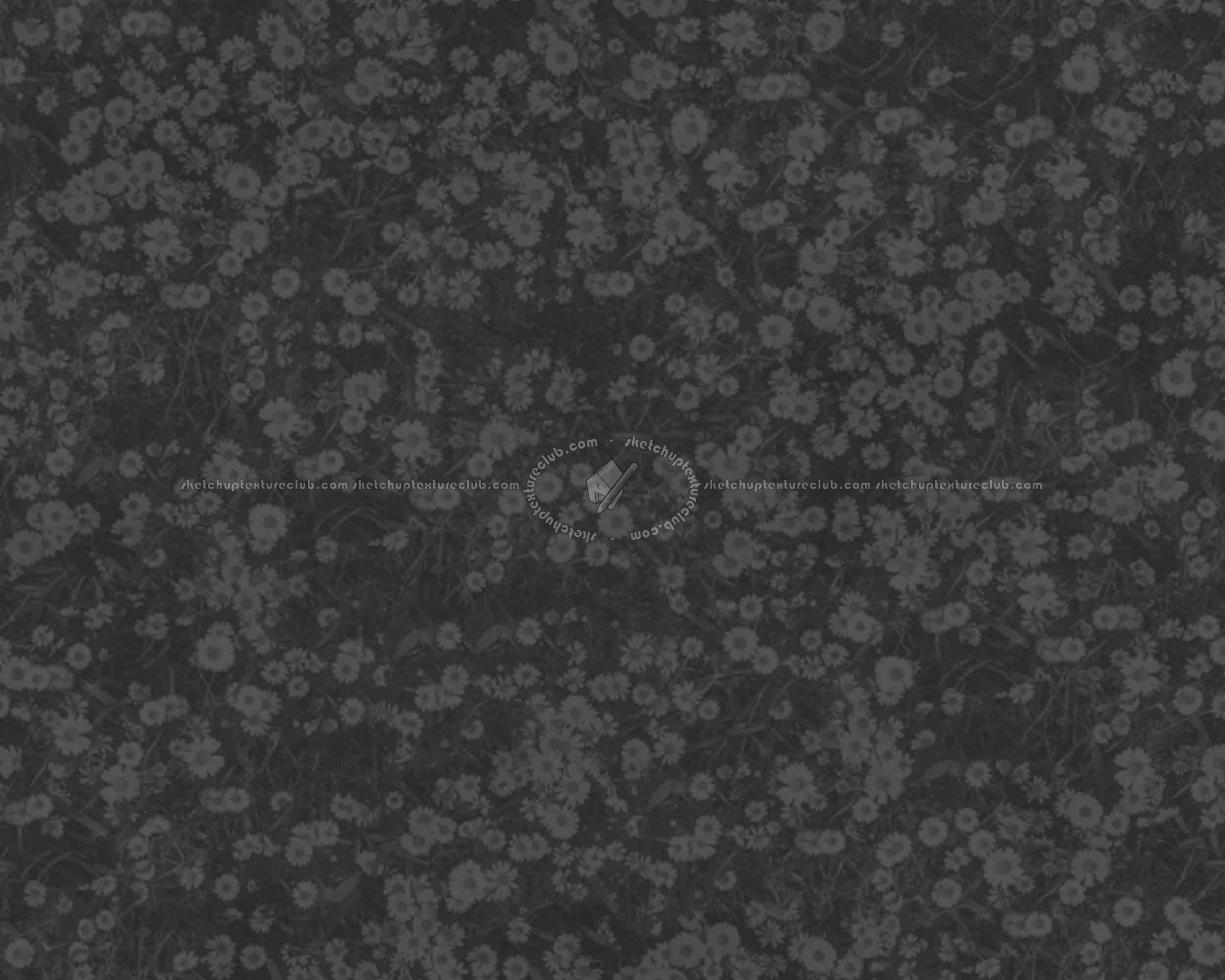 Textures   -   NATURE ELEMENTS   -   VEGETATION   -   Flowery fields  - Flowery meadow texture seamless 12966 - Displacement