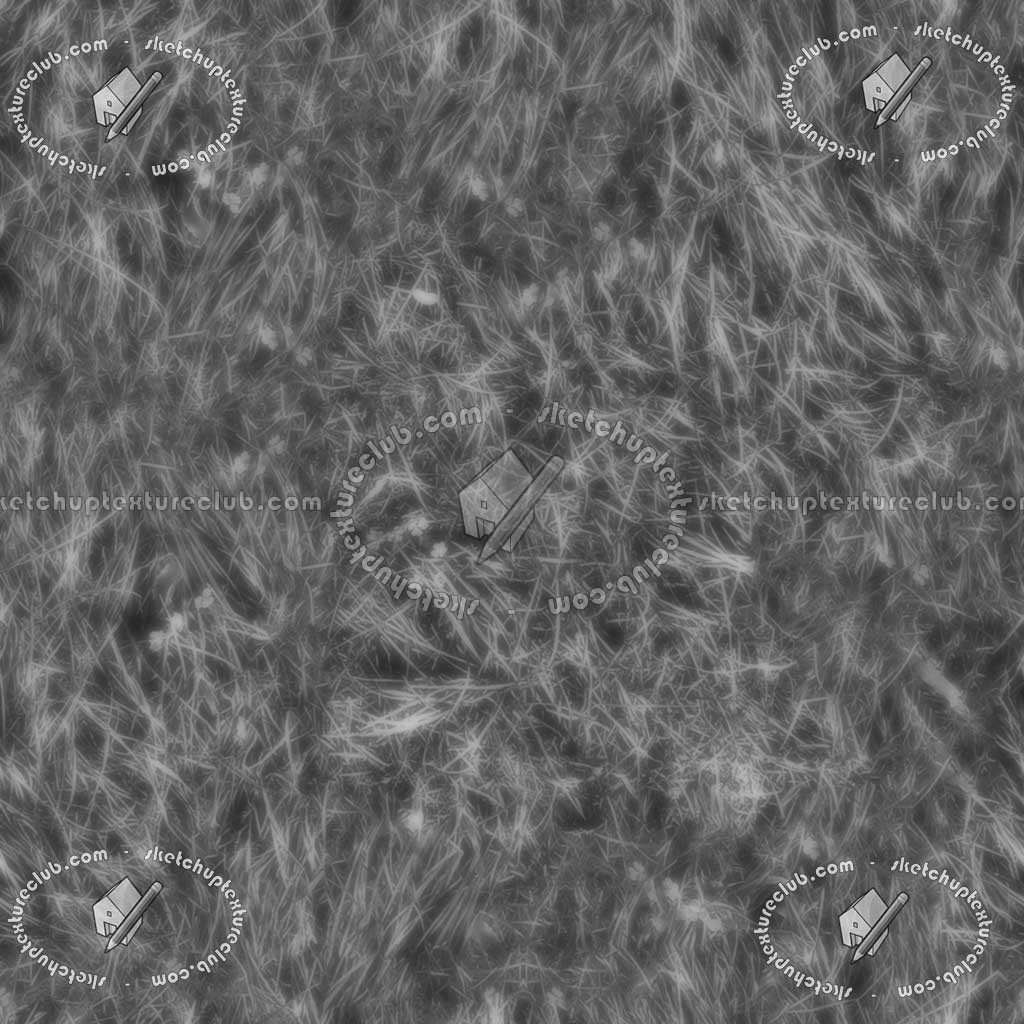 Textures   -   NATURE ELEMENTS   -   VEGETATION   -   Green grass  - Green grass texture seamless 12969 - Bump