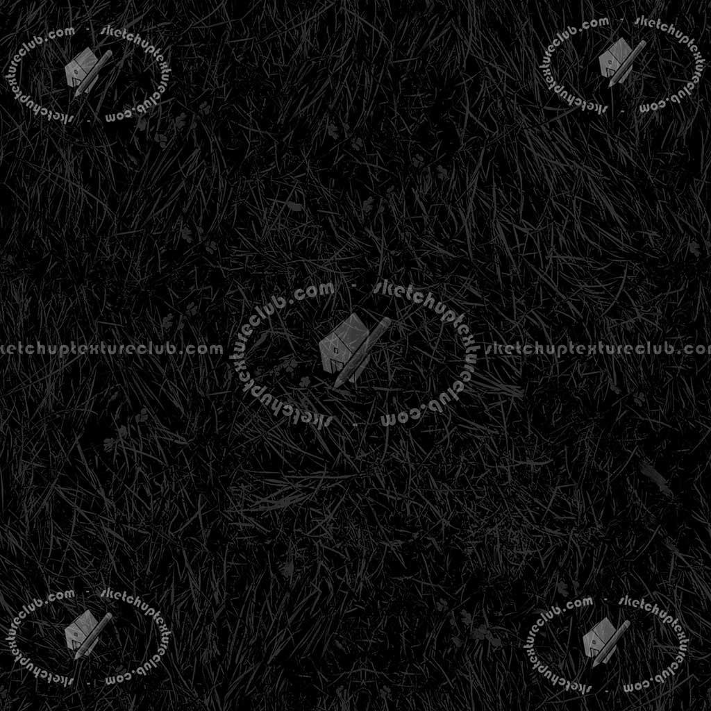 Textures   -   NATURE ELEMENTS   -   VEGETATION   -   Green grass  - Green grass texture seamless 12969 - Specular