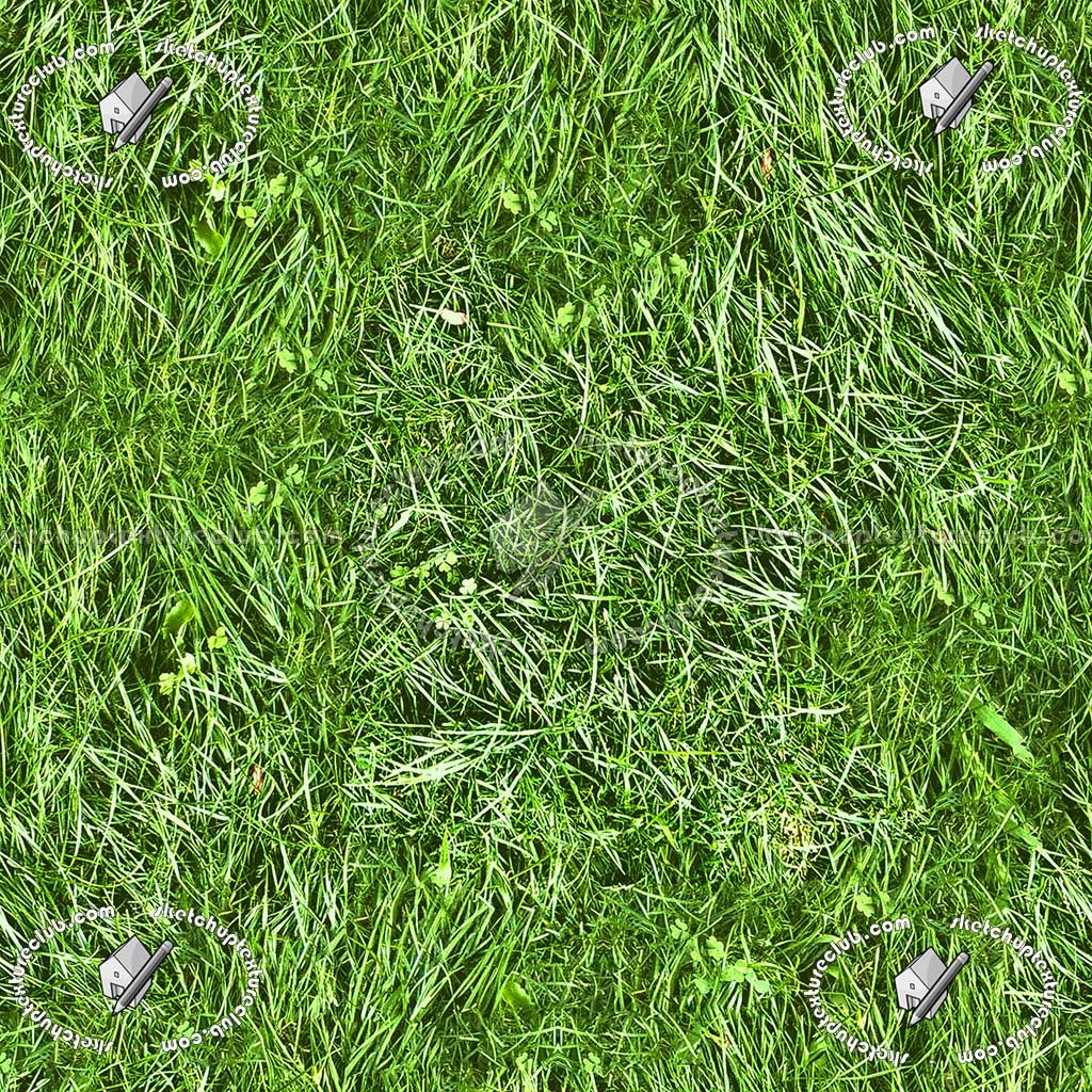 Textures   -   NATURE ELEMENTS   -   VEGETATION   -   Green grass  - Green grass texture seamless 12969 (seamless)
