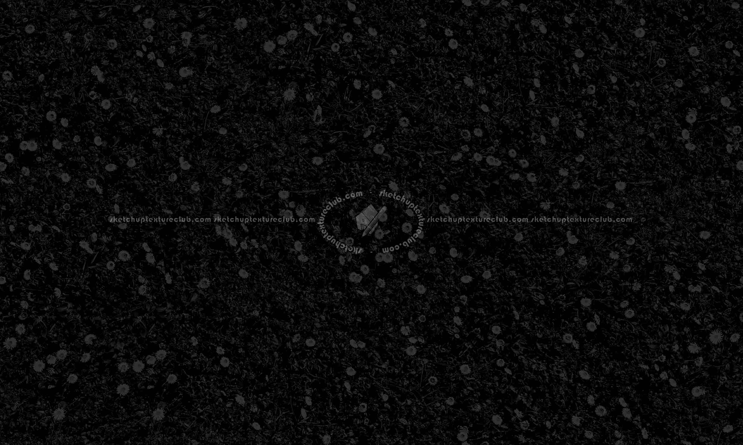 Textures   -   NATURE ELEMENTS   -   VEGETATION   -   Flowery fields  - First marguerites in march texture seamless 20542 - Specular