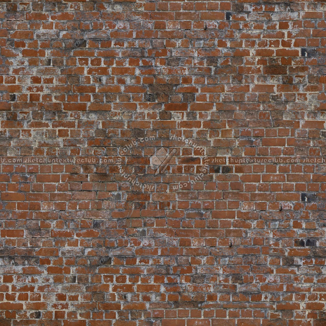 Textures   -   ARCHITECTURE   -   BRICKS   -   Old bricks  - Old bricks texture seamless 00364 (seamless)