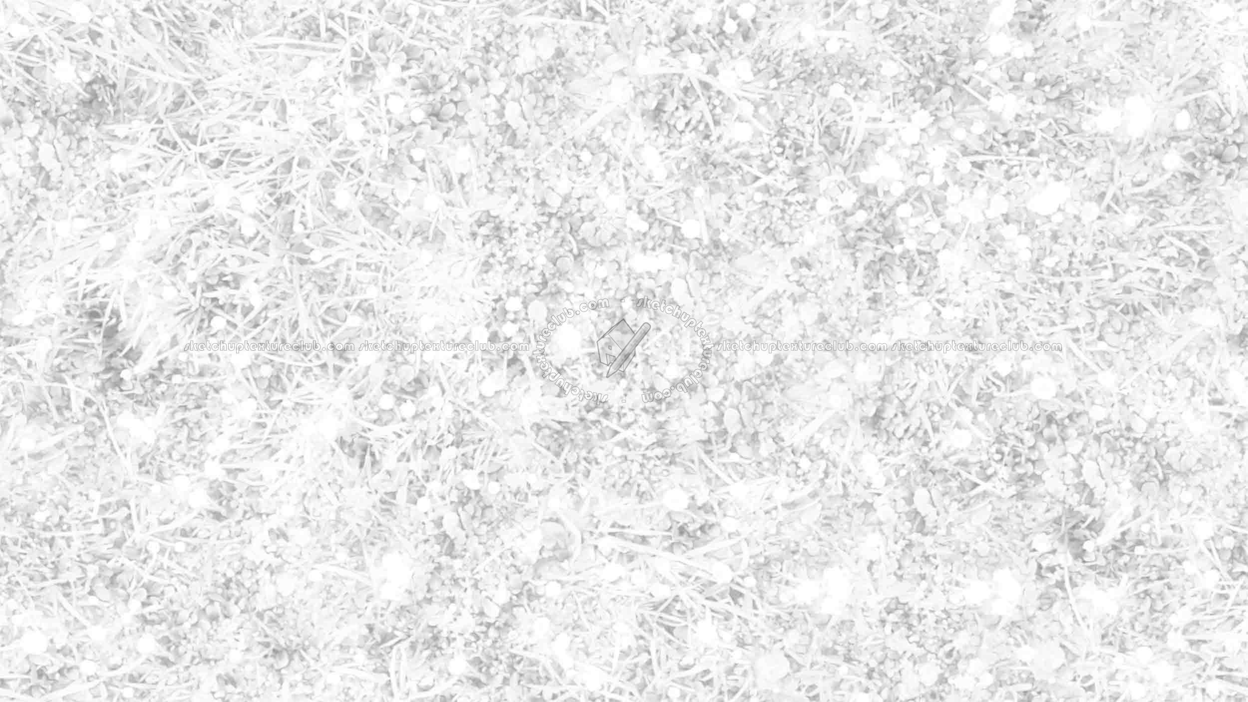 Textures   -   NATURE ELEMENTS   -   VEGETATION   -   Flowery fields  - First marguerites in march texture seamless 20554 - Ambient occlusion