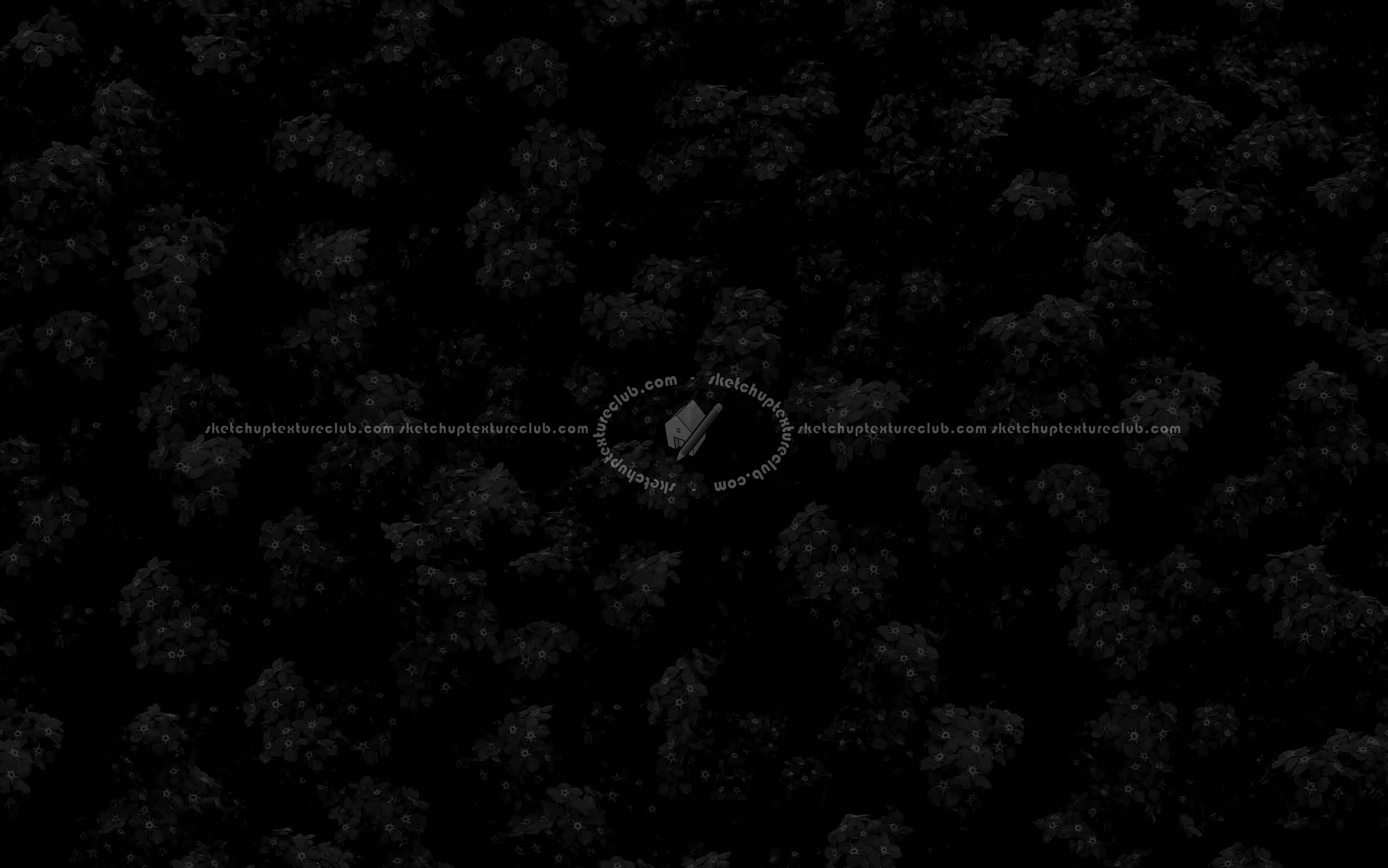 Textures   -   NATURE ELEMENTS   -   VEGETATION   -   Flowery fields  - Meadow of myosotis victoria texture seamless 20583 - Specular