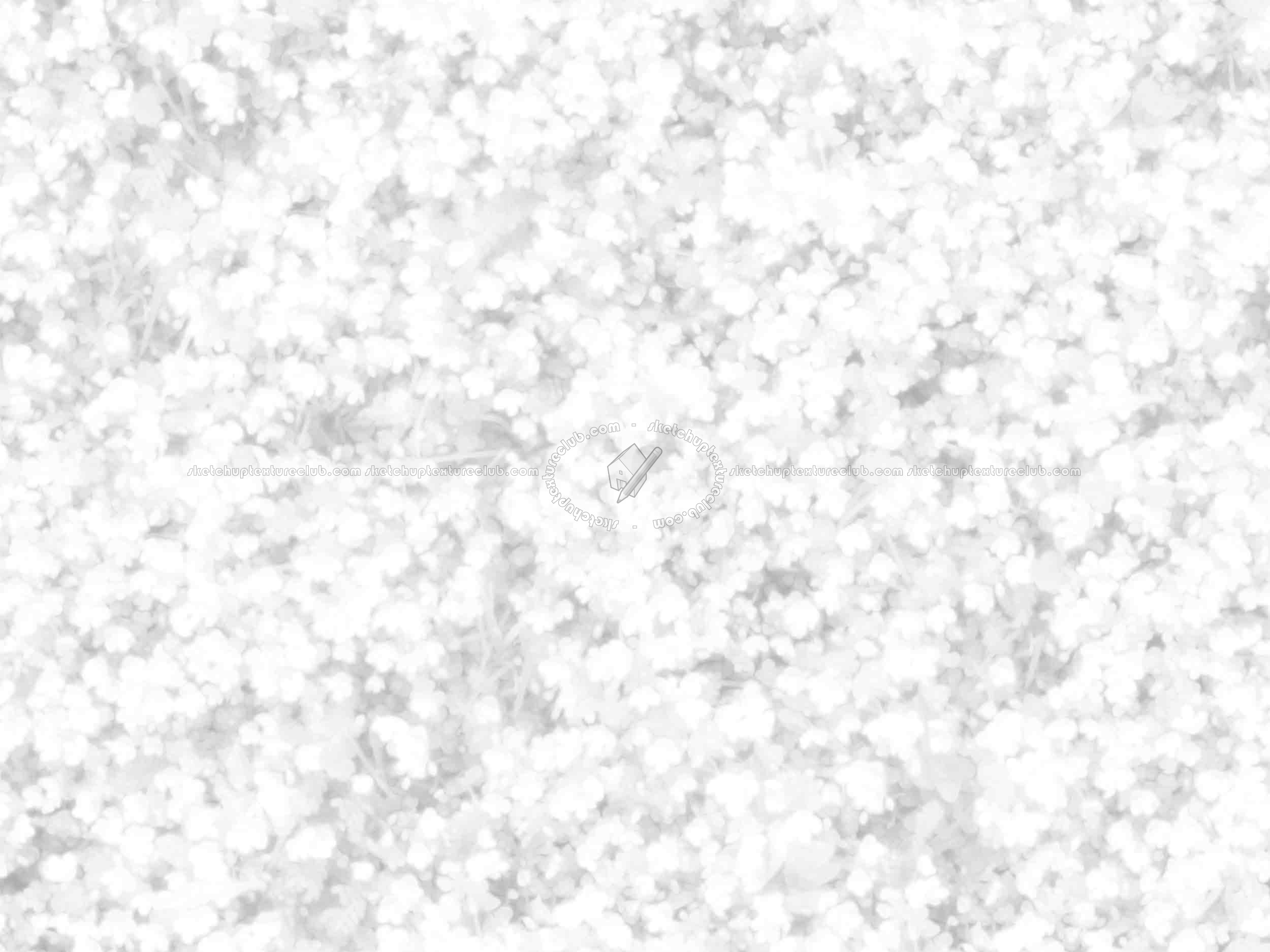 Textures   -   NATURE ELEMENTS   -   VEGETATION   -   Flowery fields  - Meadow of veronica chamaedrys texture seamless 20584 - Ambient occlusion