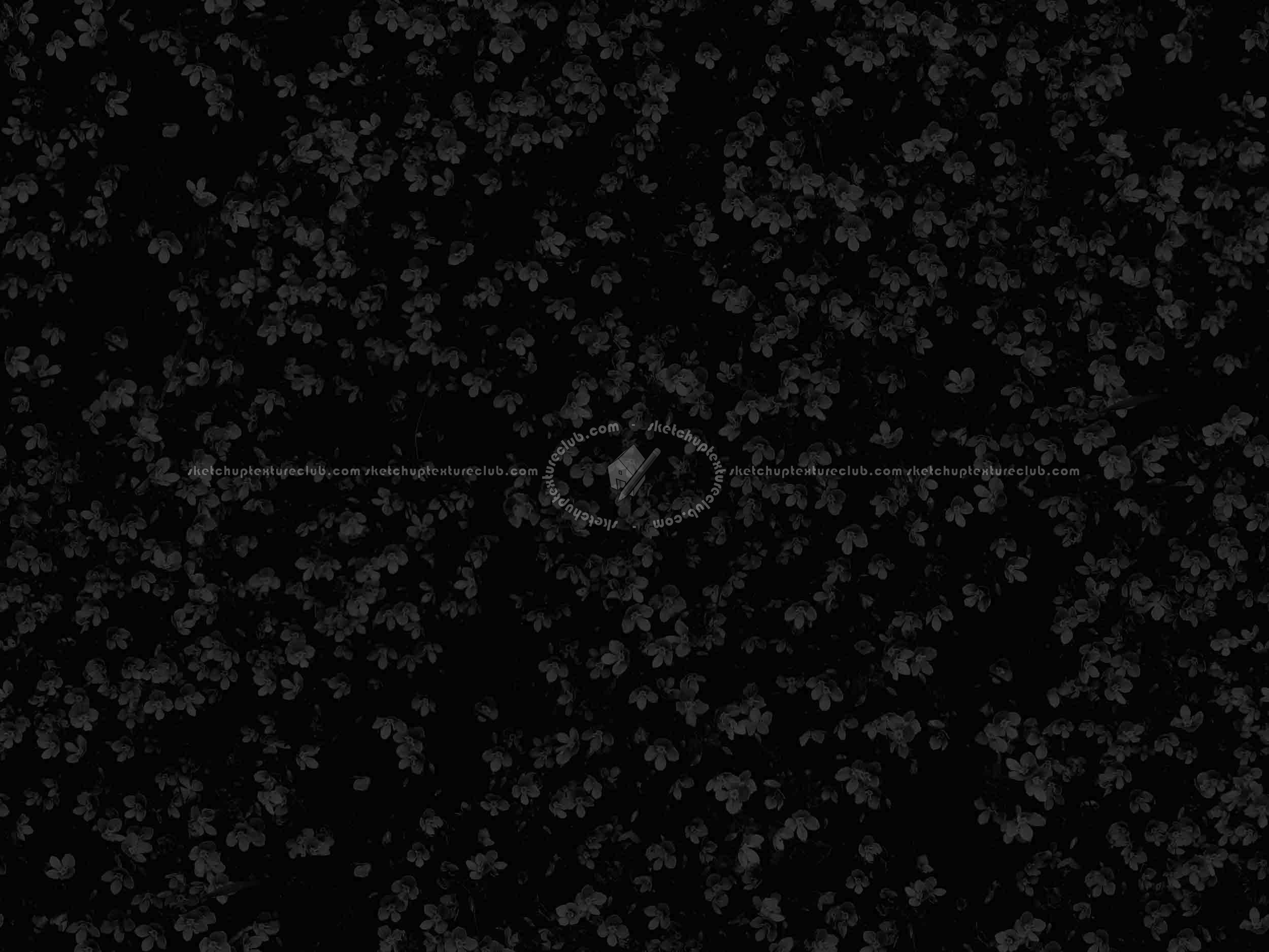 Textures   -   NATURE ELEMENTS   -   VEGETATION   -   Flowery fields  - Meadow of veronica chamaedrys texture seamless 20584 - Specular