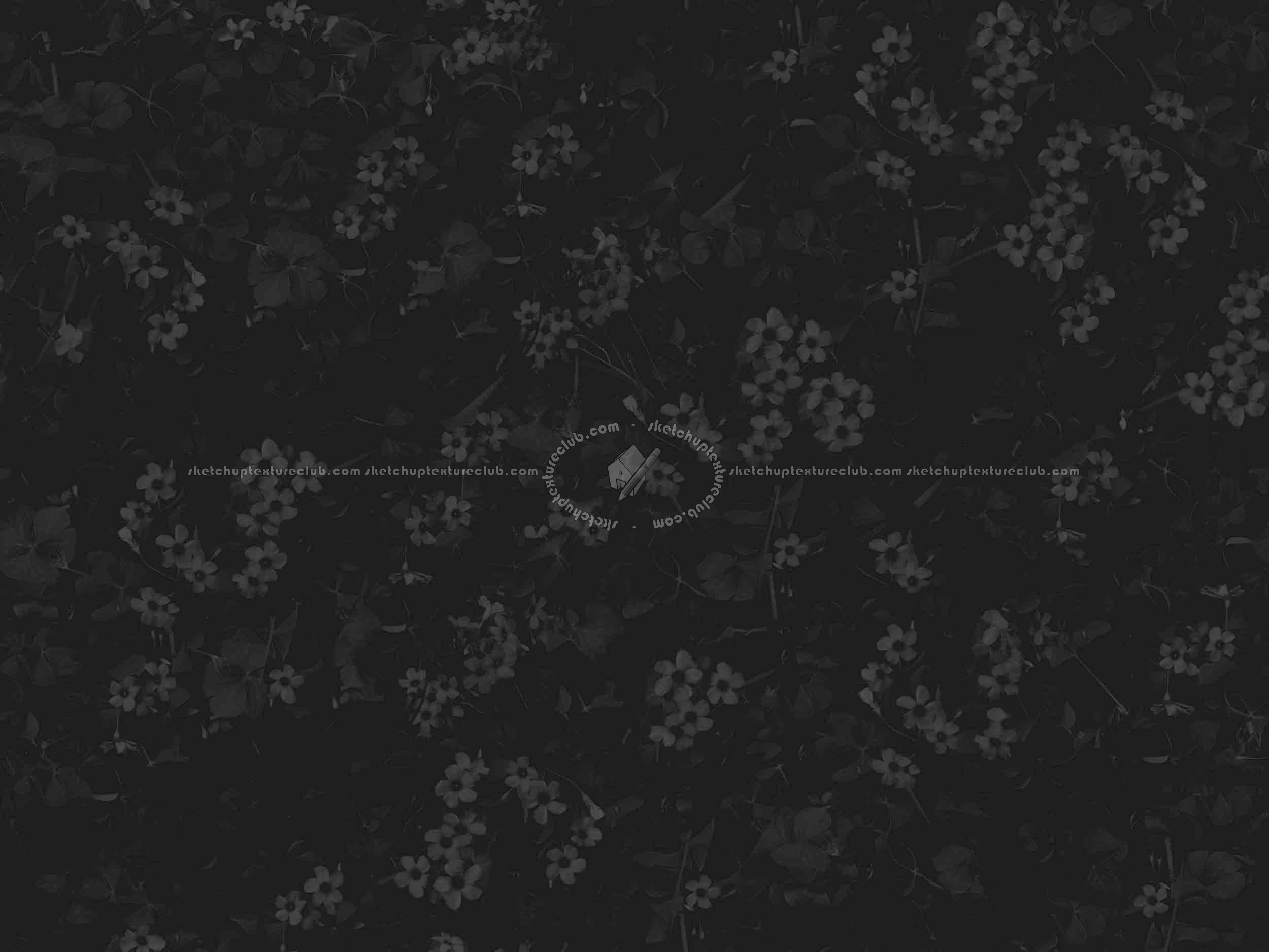 Textures   -   NATURE ELEMENTS   -   VEGETATION   -   Flowery fields  - Meadow of oxalis rubra texture seamless 20585 - Specular