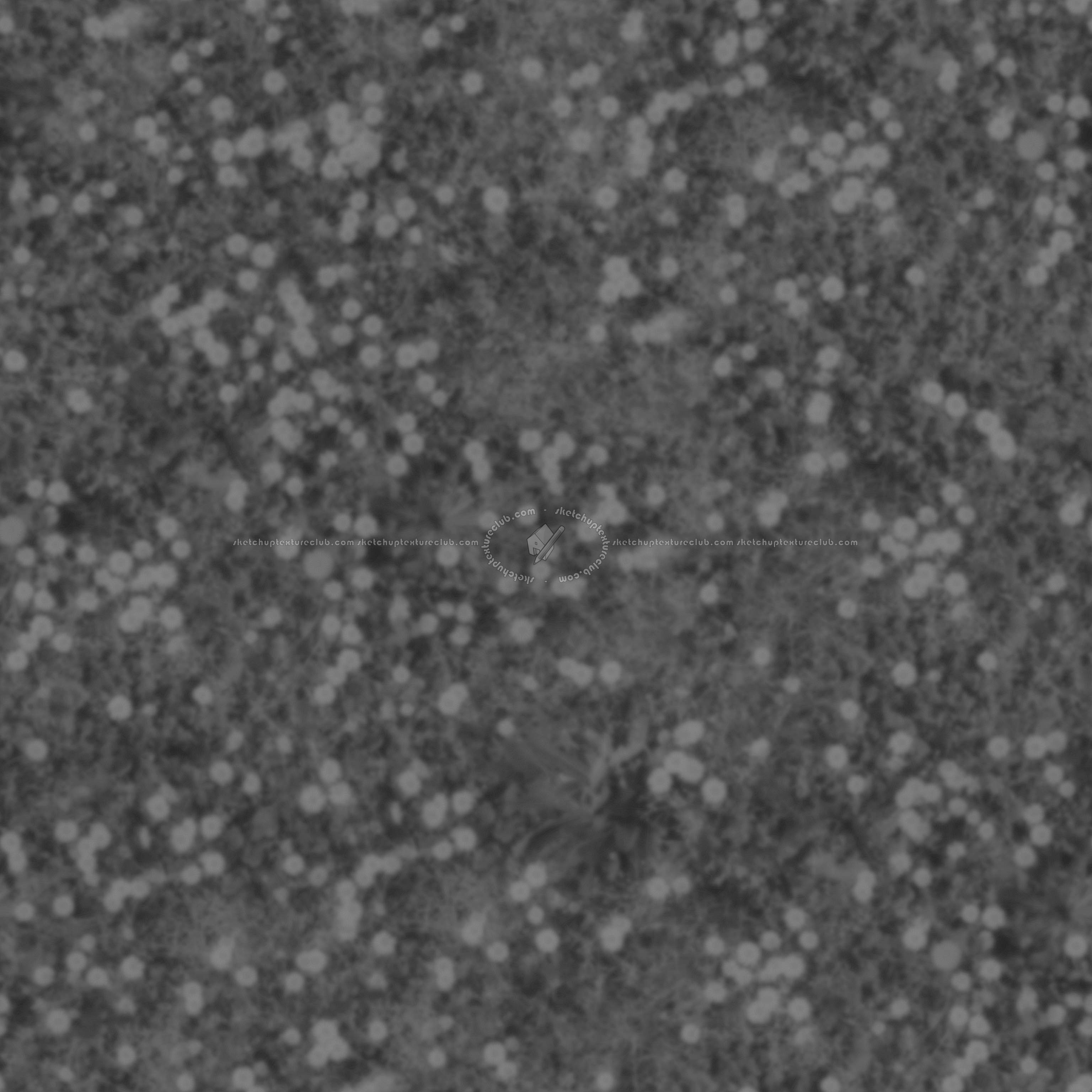 Textures   -   NATURE ELEMENTS   -   VEGETATION   -   Flowery fields  - meadow with daisies pbr texture semaless 22189 - Displacement