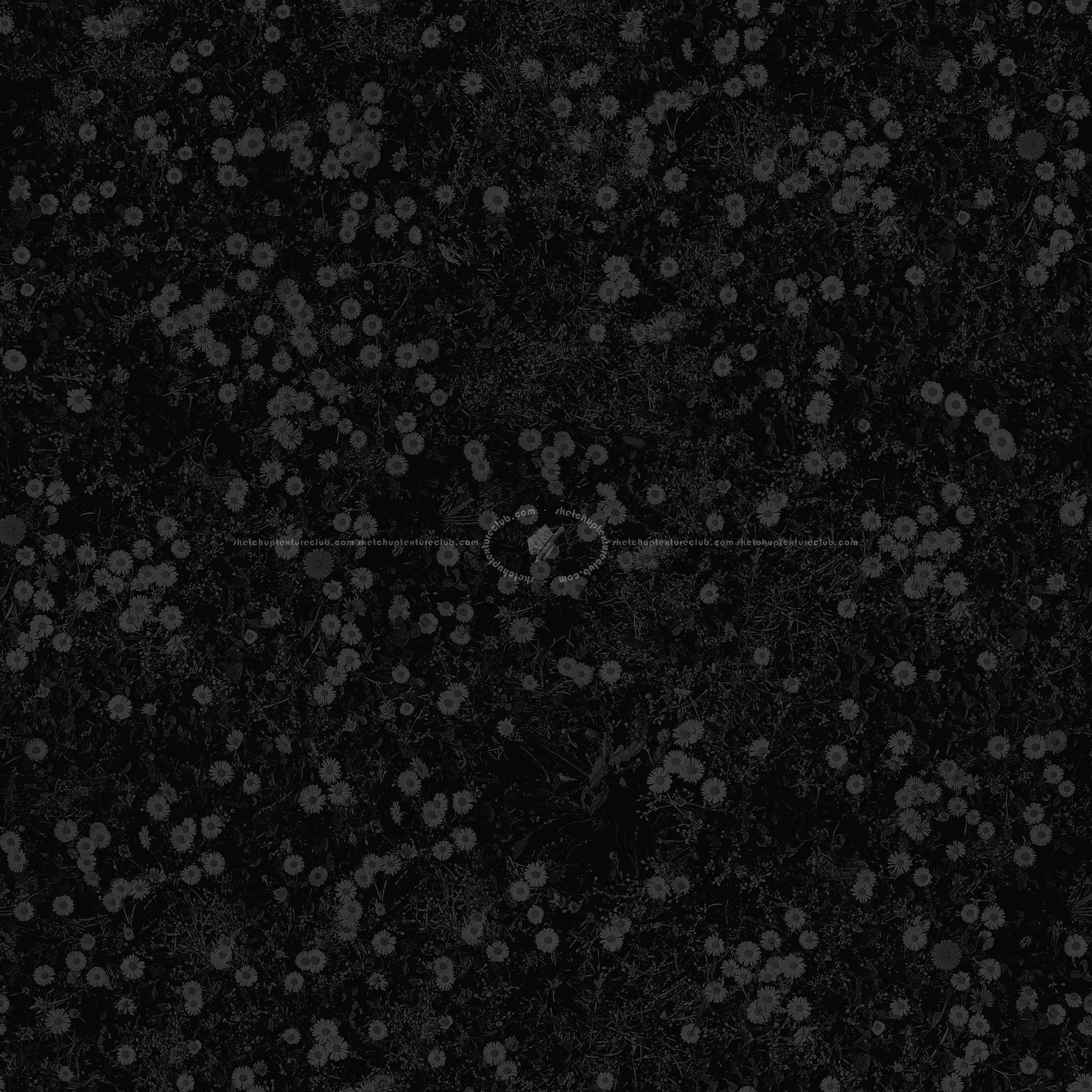 Textures   -   NATURE ELEMENTS   -   VEGETATION   -   Flowery fields  - meadow with daisies pbr texture semaless 22189 - Specular