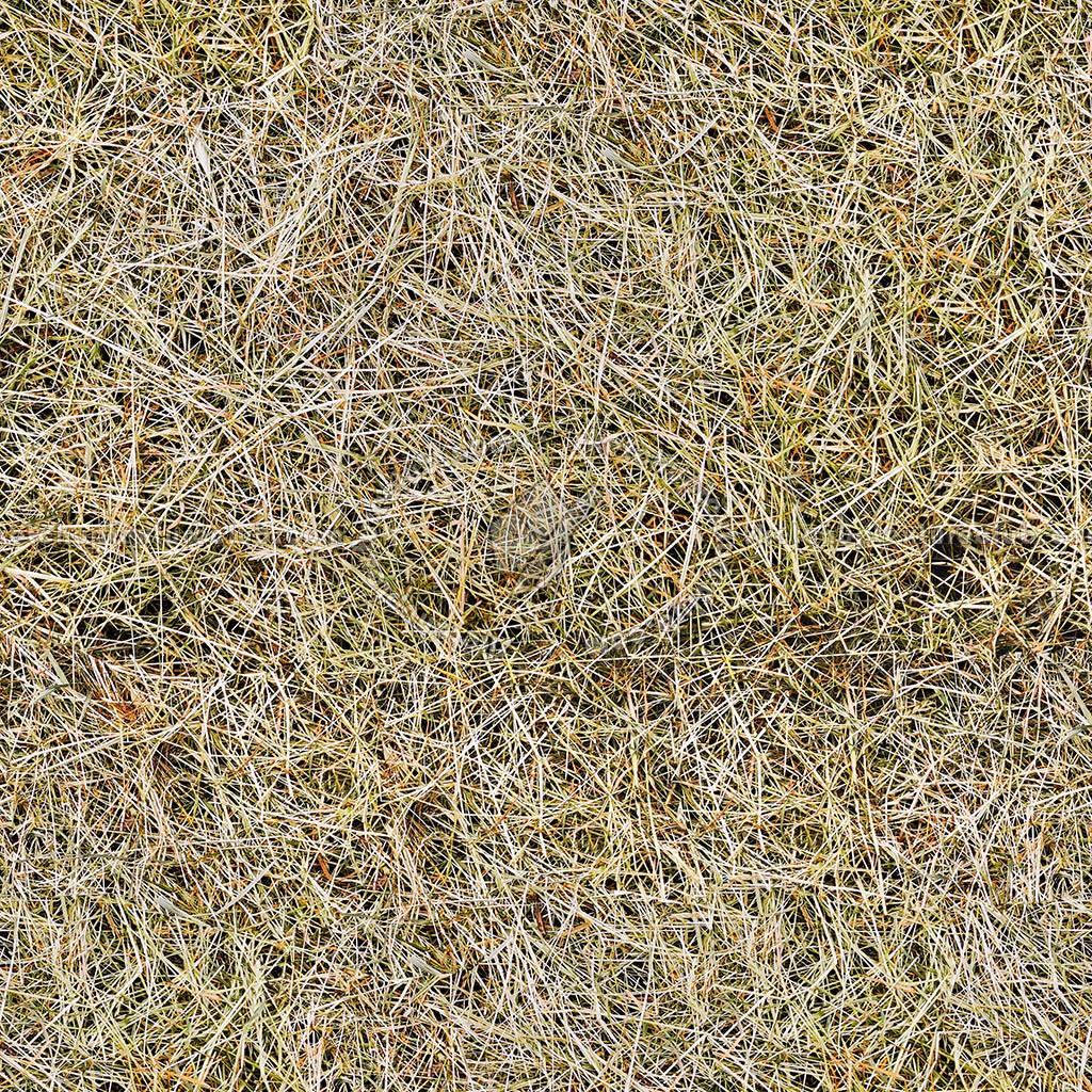 Textures   -   NATURE ELEMENTS   -   VEGETATION   -   Dry grass  - Hay PBR texture seamless 21903 (seamless)