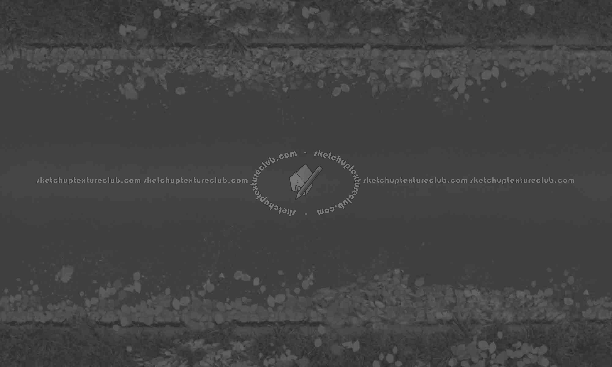 Textures   -   ARCHITECTURE   -   ROADS   -   Roads  - Dirt road texture seamless 07529 - Displacement