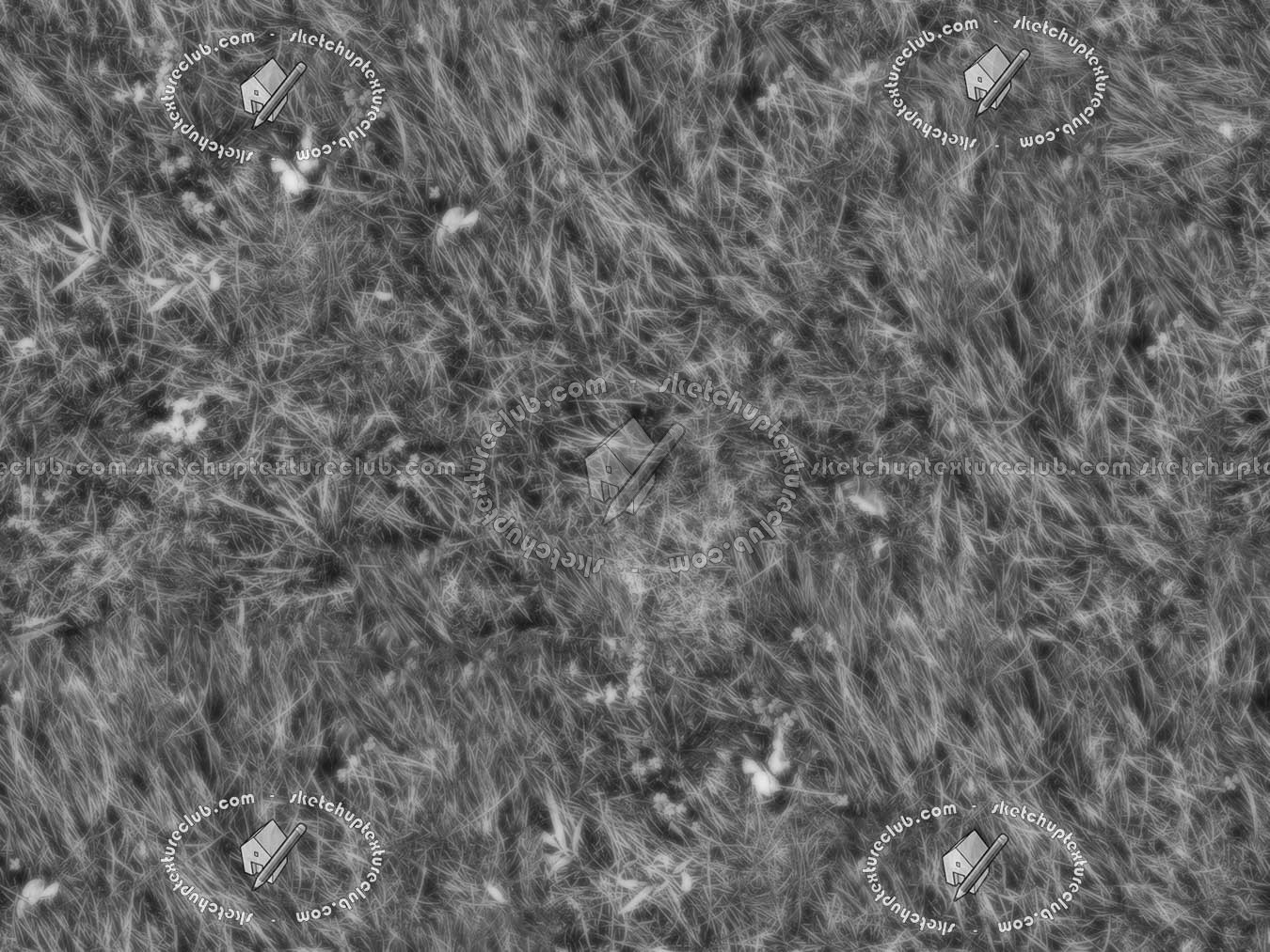 Textures   -   NATURE ELEMENTS   -   VEGETATION   -   Green grass  - Green grass texture seamless 12970 - Bump