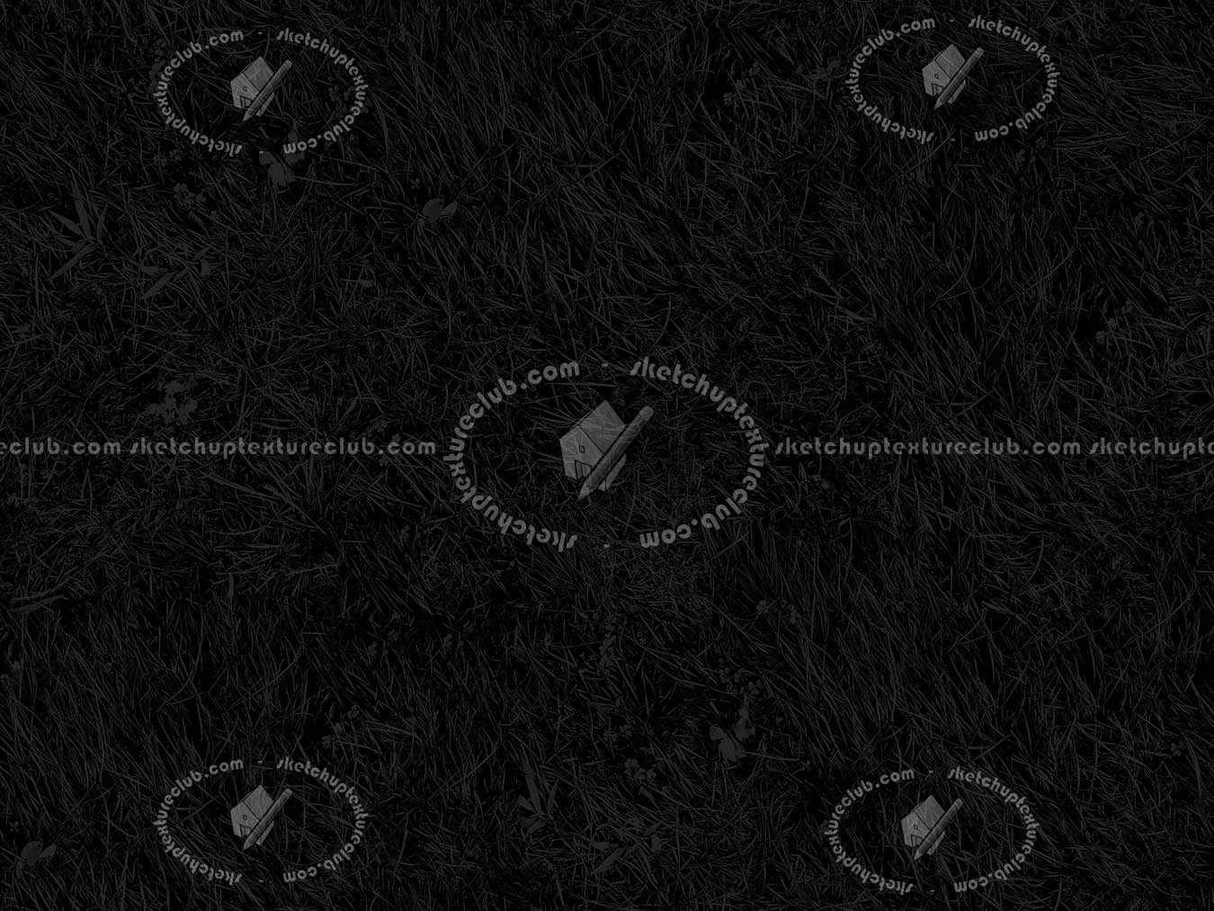 Textures   -   NATURE ELEMENTS   -   VEGETATION   -   Green grass  - Green grass texture seamless 12970 - Specular