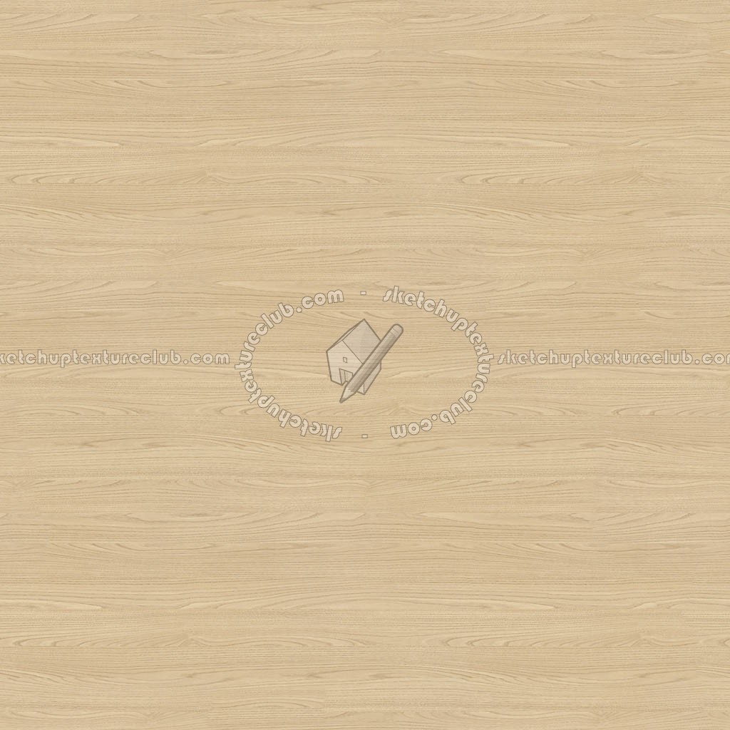 Textures   -   ARCHITECTURE   -   WOOD   -   Fine wood   -   Light wood  - Ash light wood fine texture seamless 04331 (seamless)