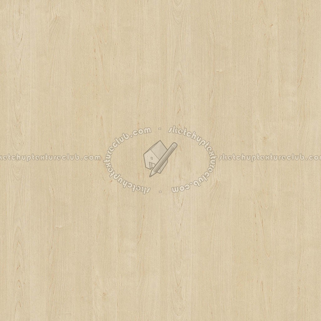Textures   -   ARCHITECTURE   -   WOOD   -   Fine wood   -   Light wood  - Light wood fine texture seamless 04338 (seamless)