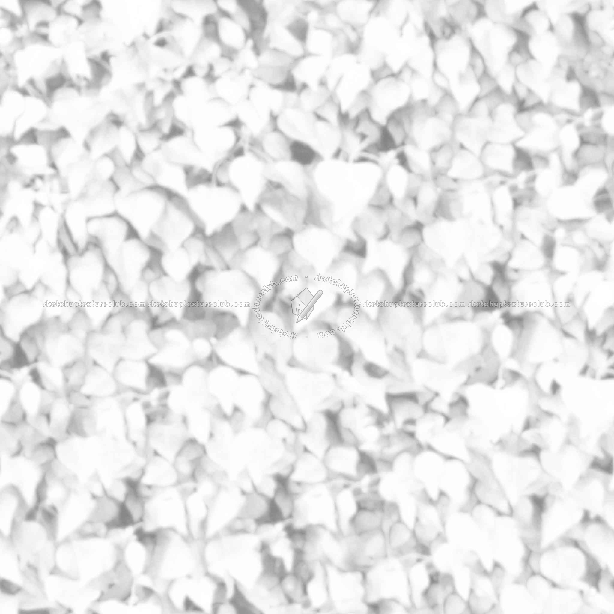 Textures   -   NATURE ELEMENTS   -   VEGETATION   -   Hedges  - Ivy hedge texture seamless 13115 - Ambient occlusion