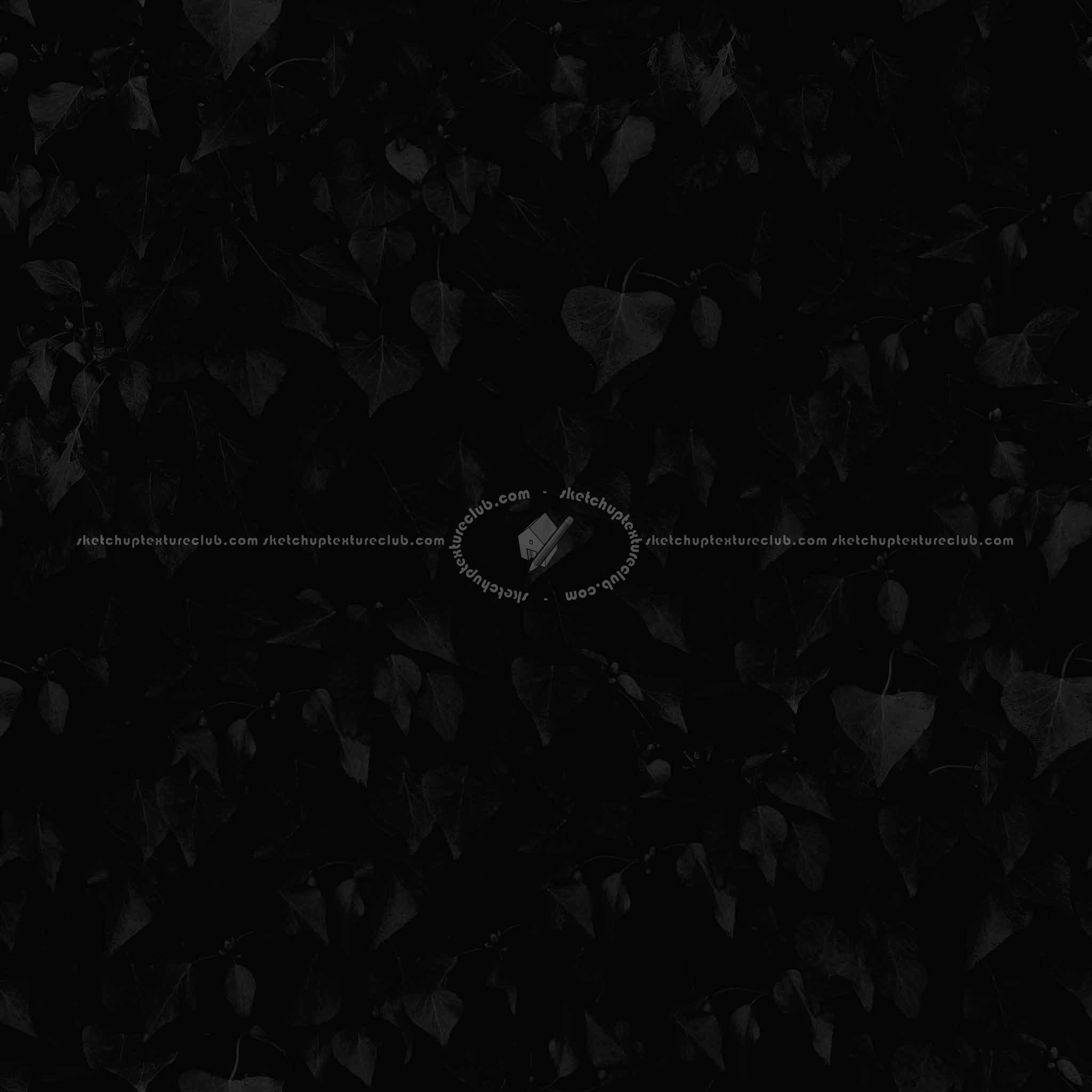 Textures   -   NATURE ELEMENTS   -   VEGETATION   -   Hedges  - Ivy hedge texture seamless 13115 - Specular