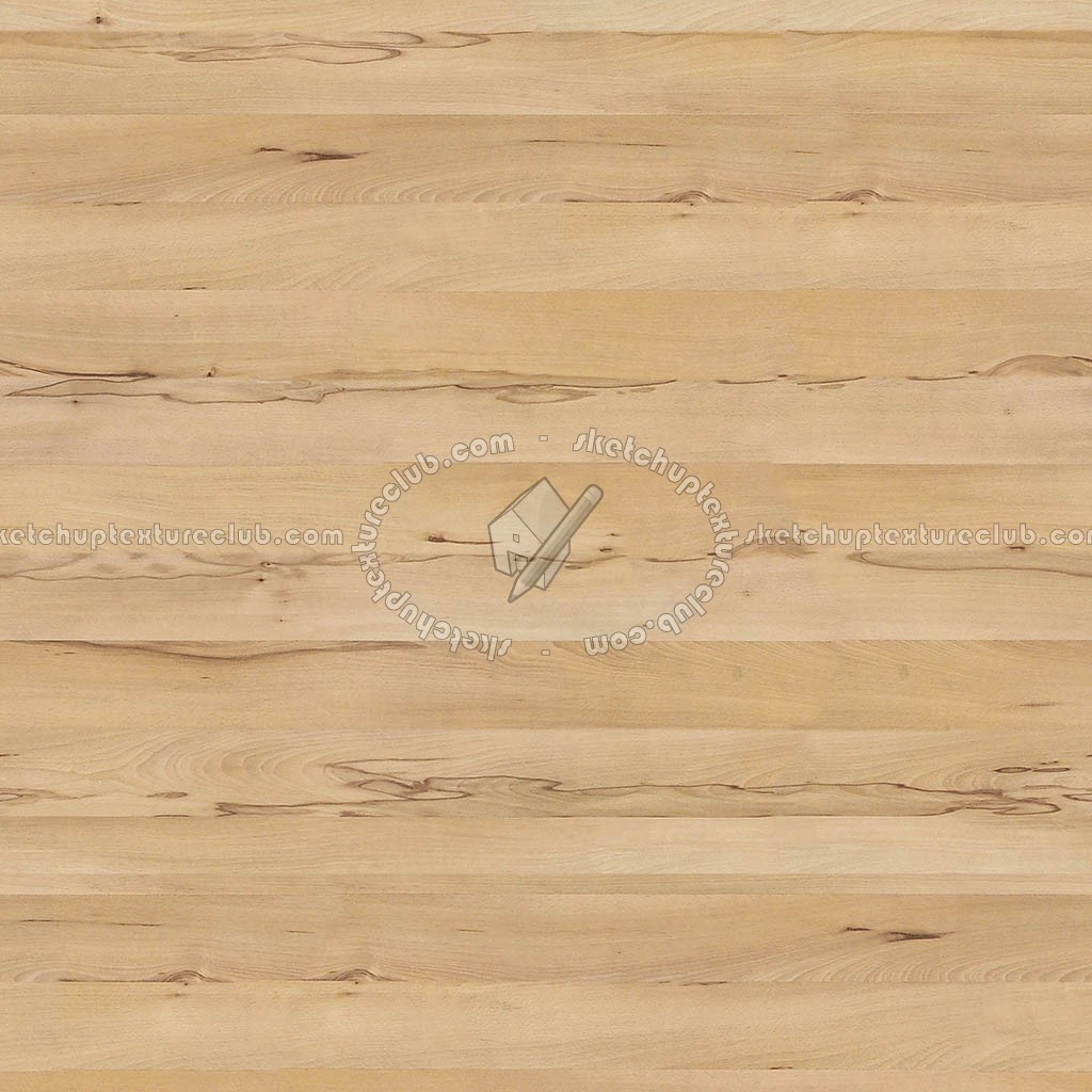 Textures   -   ARCHITECTURE   -   WOOD   -   Fine wood   -   Light wood  - Light wood fine texture seamless 04339 (seamless)