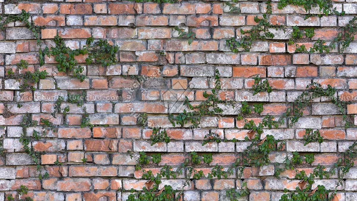 Textures - ARCHITECTURE - BRICKS - Damaged bricks - Old damaged wall bricks with grass texture seamless 20198 (seamless)