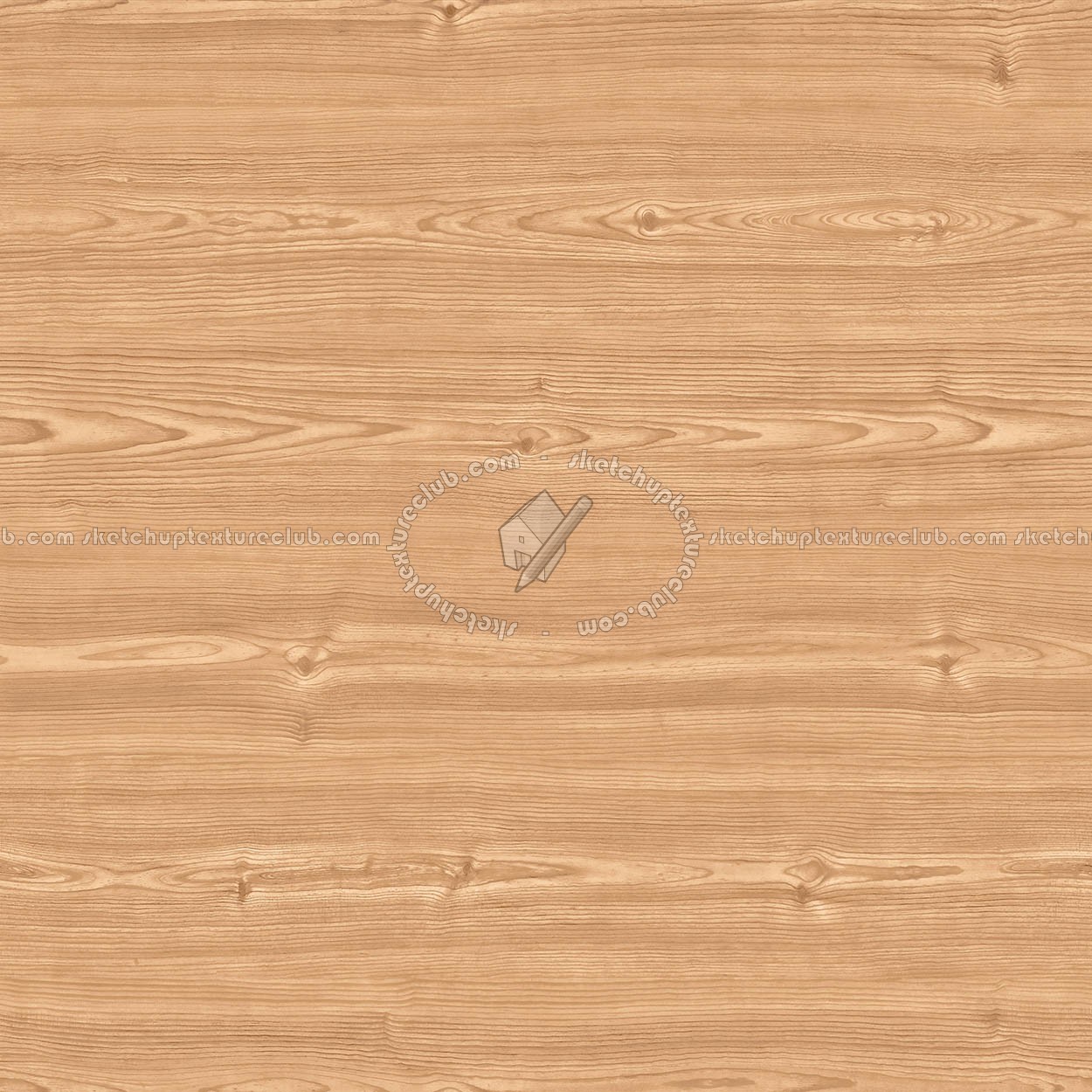 Textures   -   ARCHITECTURE   -   WOOD   -   Fine wood   -   Light wood  - Larch light wood fine texture seamless 04345 (seamless)