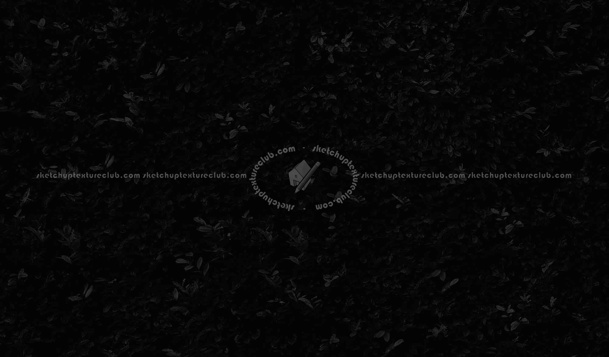 Textures   -   NATURE ELEMENTS   -   VEGETATION   -   Hedges  - Green hedge texture seamless 17380 - Specular