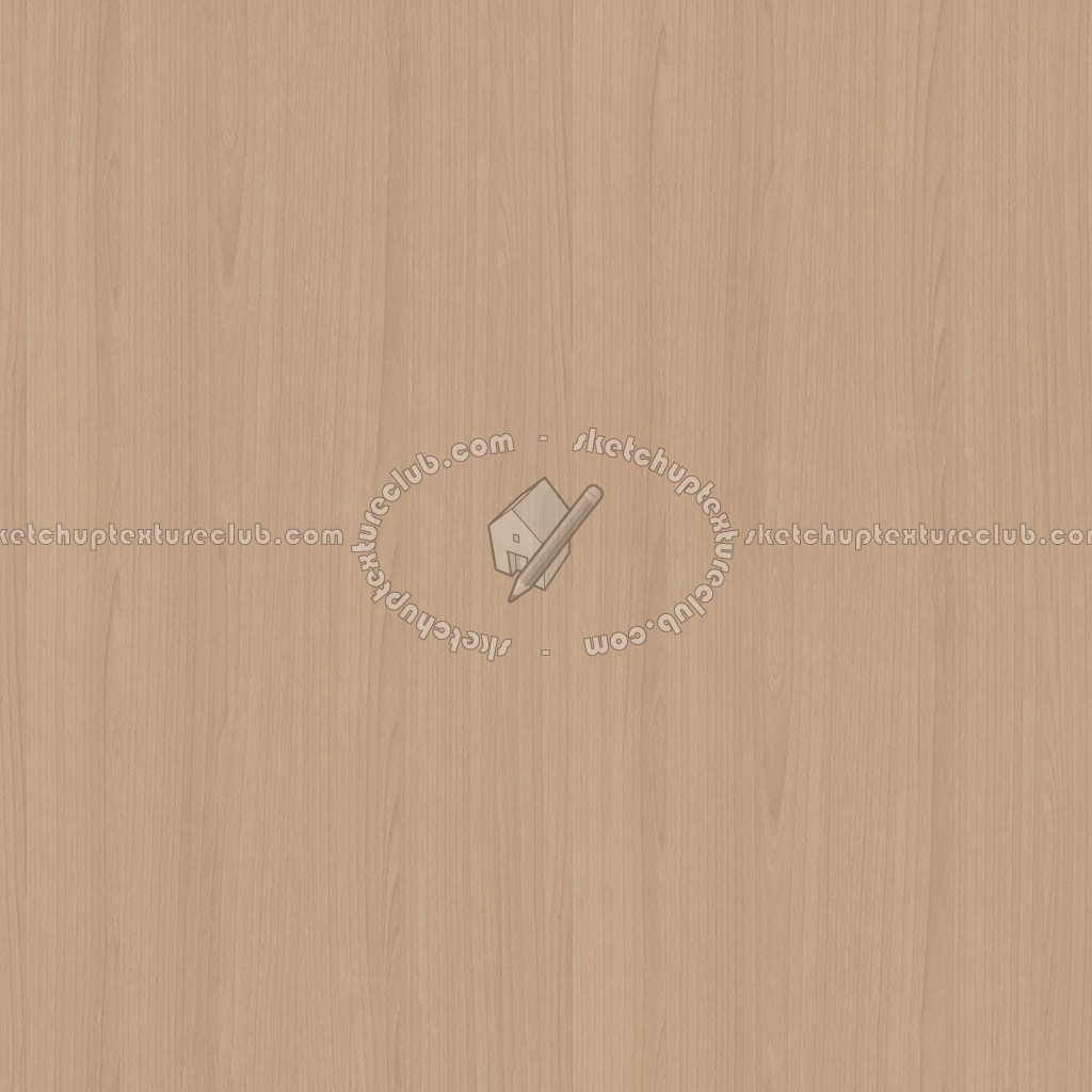 Textures   -   ARCHITECTURE   -   WOOD   -   Fine wood   -   Light wood  - Light wood fine texture seamless 04347 (seamless)