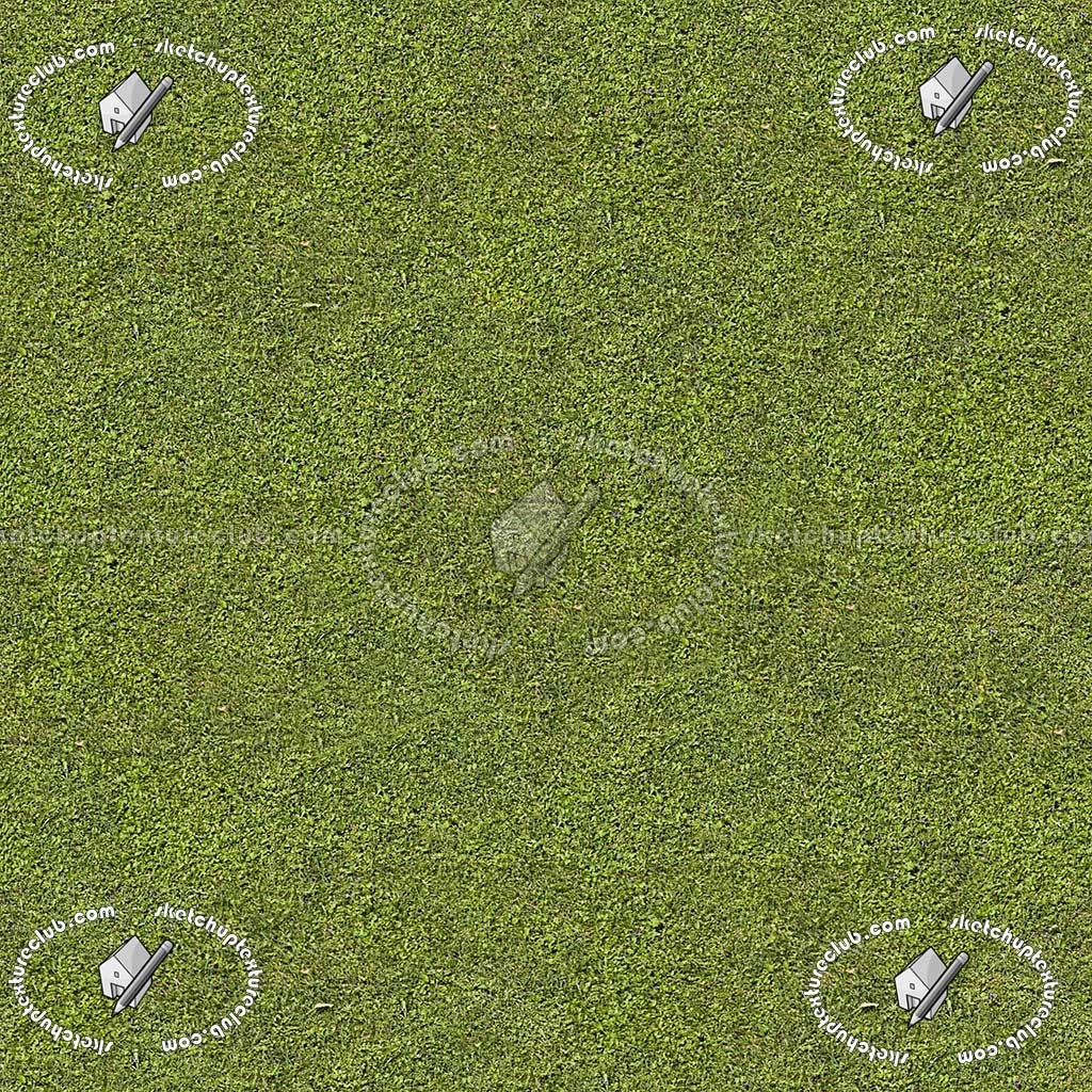 grass texture seamless 256x256 grass texture seamless 256x256