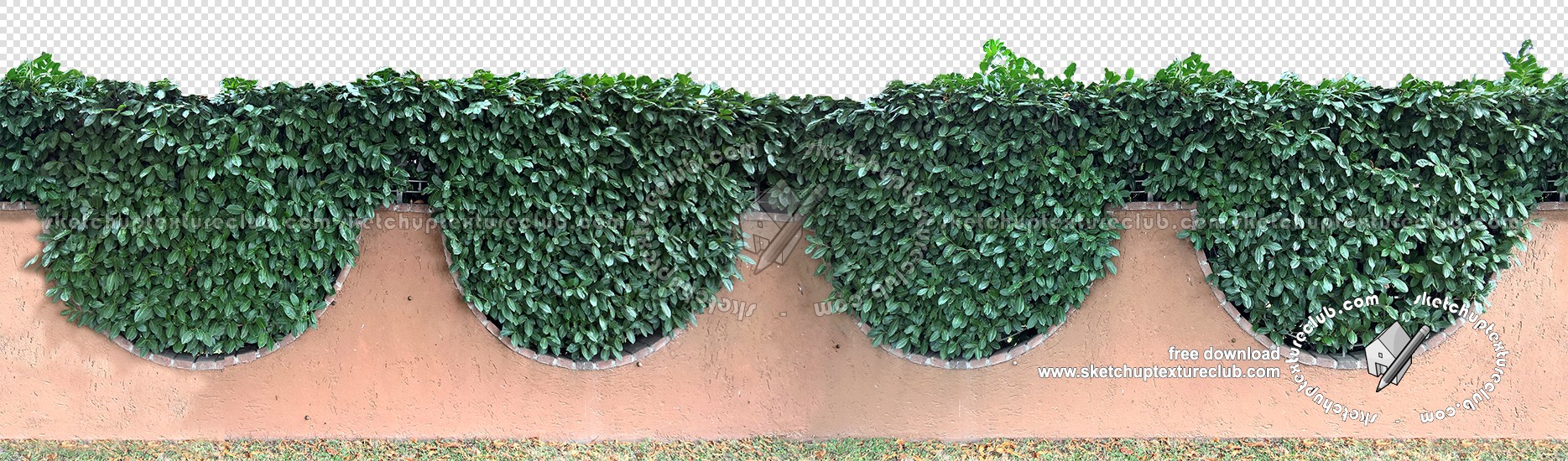 Textures   -   NATURE ELEMENTS   -   VEGETATION   -   Hedges  - Cut out hedge texture 17686 (seamless)