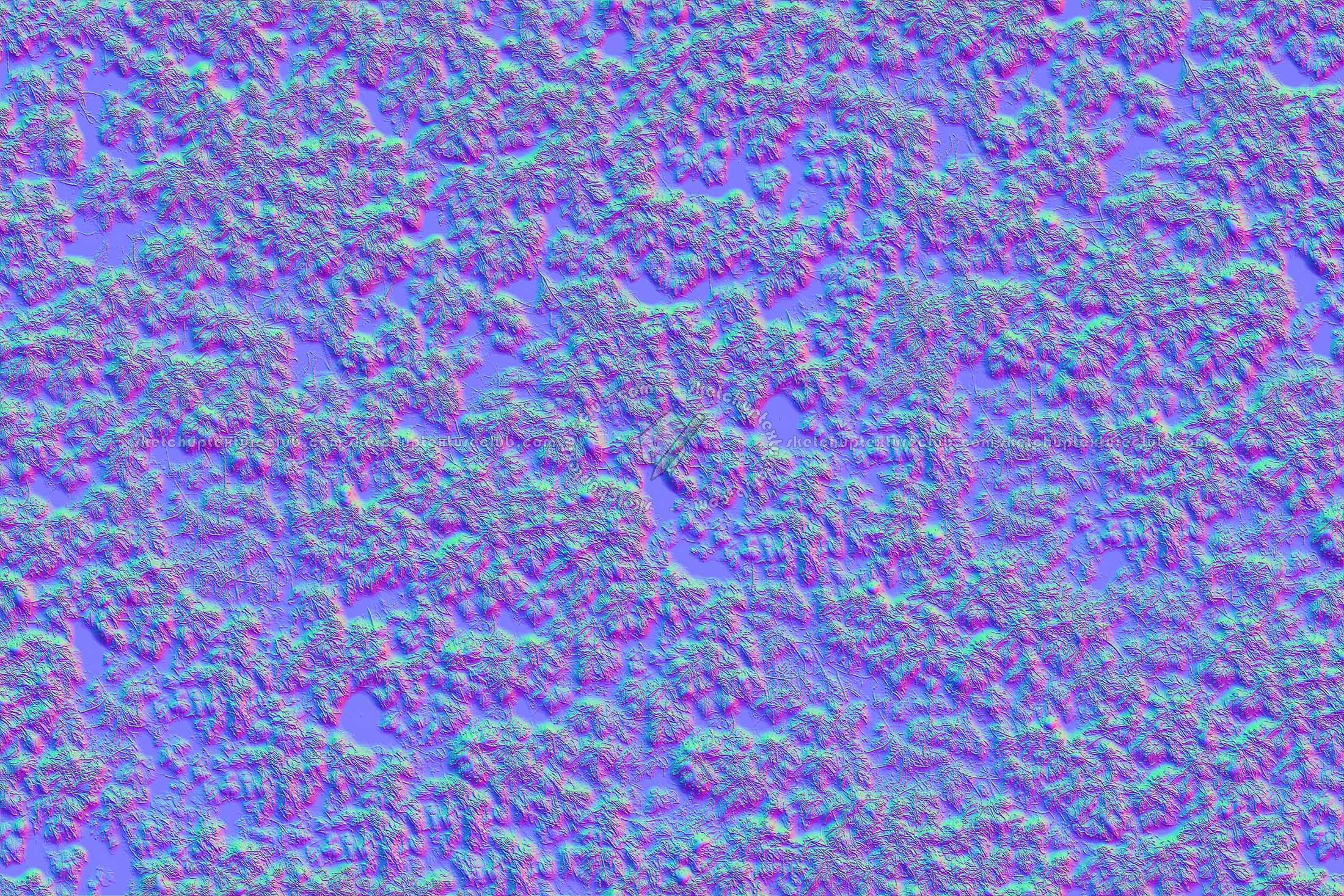 Textures   -   NATURE ELEMENTS   -   VEGETATION   -   Hedges  - Creeper wild texture seamless 18340 - Normal