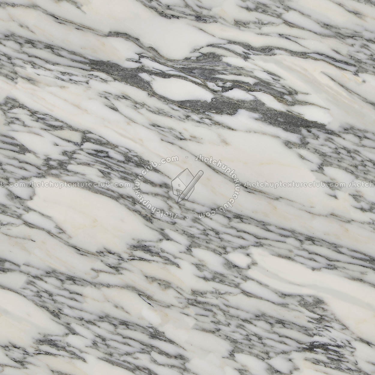 Textures - ARCHITECTURE - MARBLE SLABS - White - white Arabescato marble slab Pbr texture seamless 22270 (seamless)
