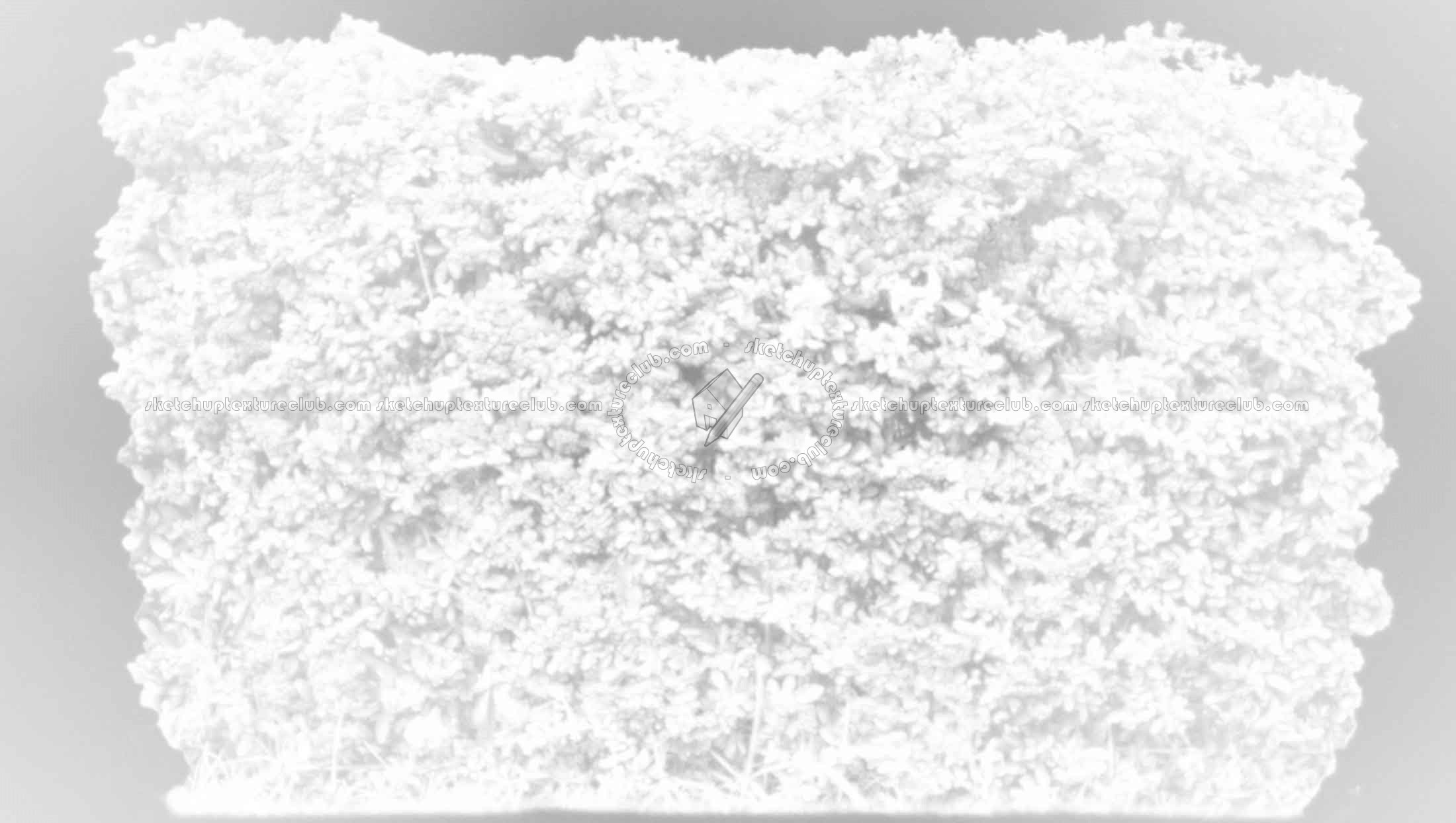 Textures   -   NATURE ELEMENTS   -   VEGETATION   -   Hedges  - Cut out autumnal hedge texture 18708 - Ambient occlusion