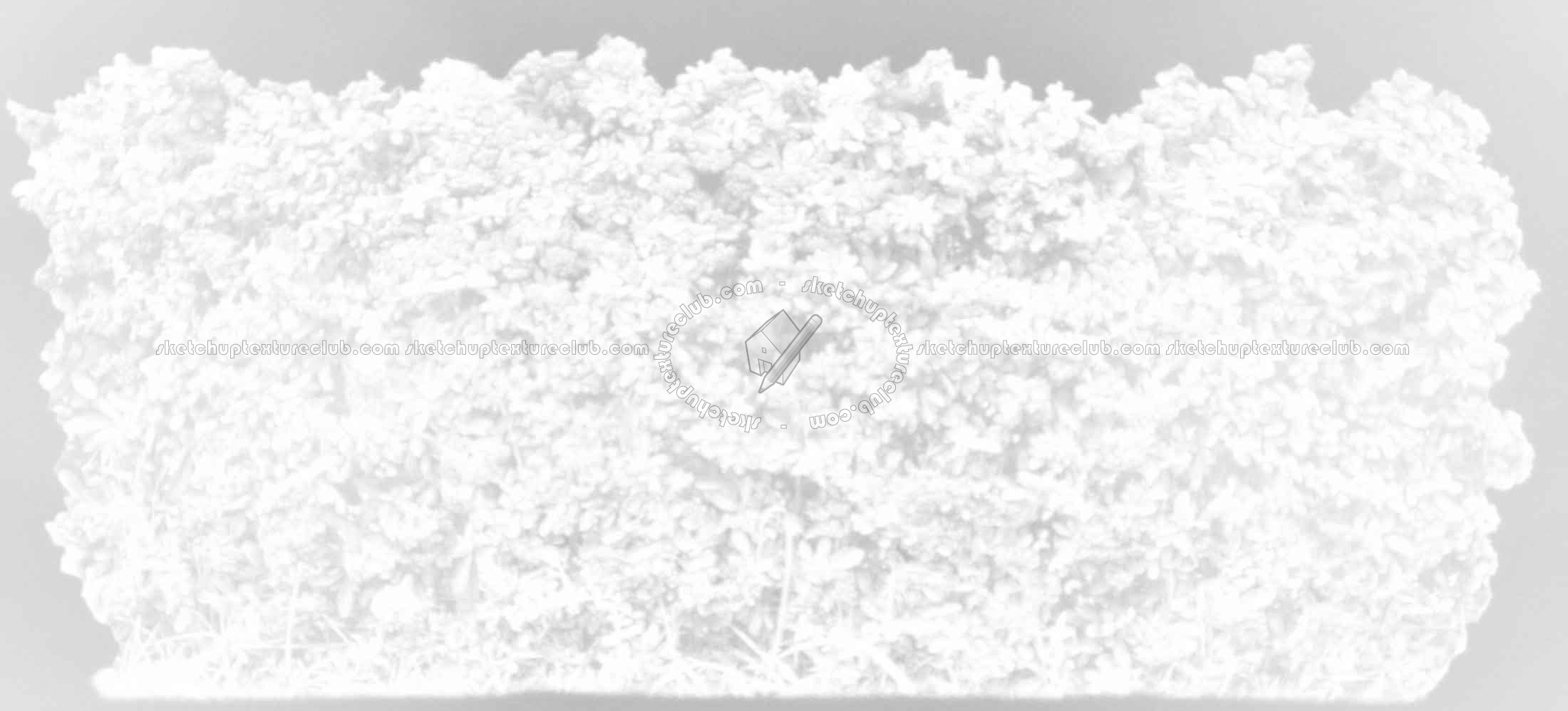 Textures   -   NATURE ELEMENTS   -   VEGETATION   -   Hedges  - Cut out autumnal hedge texture 18709 - Ambient occlusion