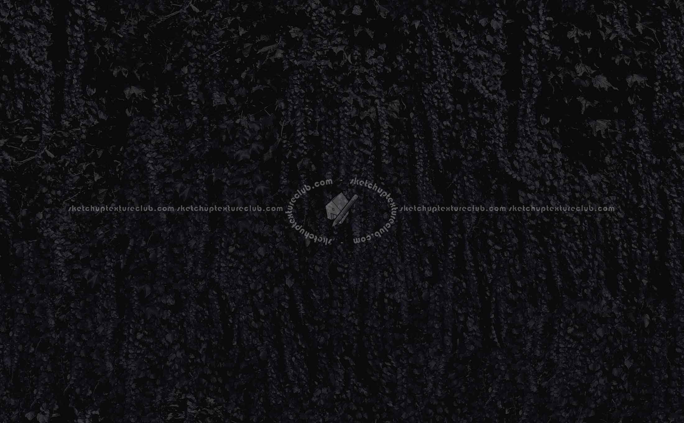 Textures   -   NATURE ELEMENTS   -   VEGETATION   -   Hedges  - Green hedge texture seamless 19798 - Specular