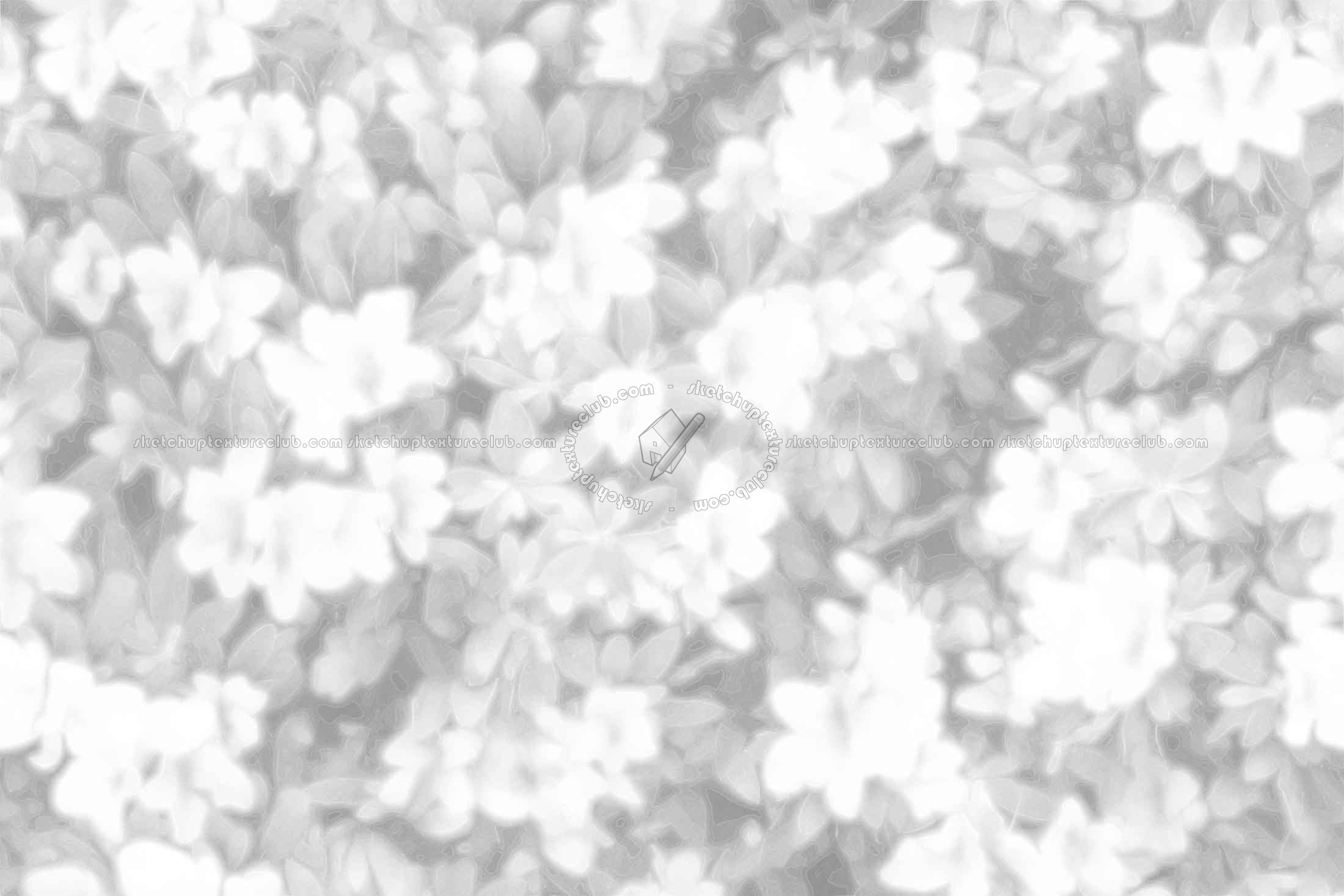 Textures   -   NATURE ELEMENTS   -   VEGETATION   -   Hedges  - Hedge in bloom texture seamless 20653 - Ambient occlusion