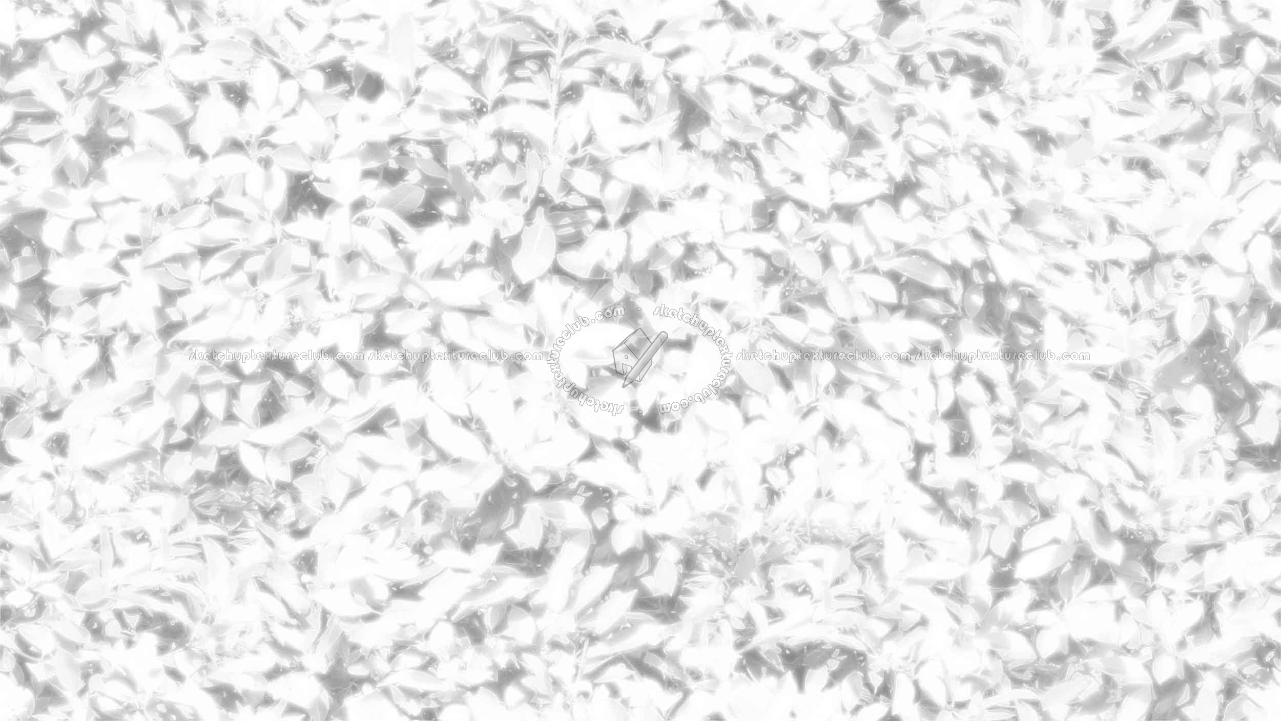 Textures   -   NATURE ELEMENTS   -   VEGETATION   -   Hedges  - Red robin hedge texture seamless 20691 - Ambient occlusion