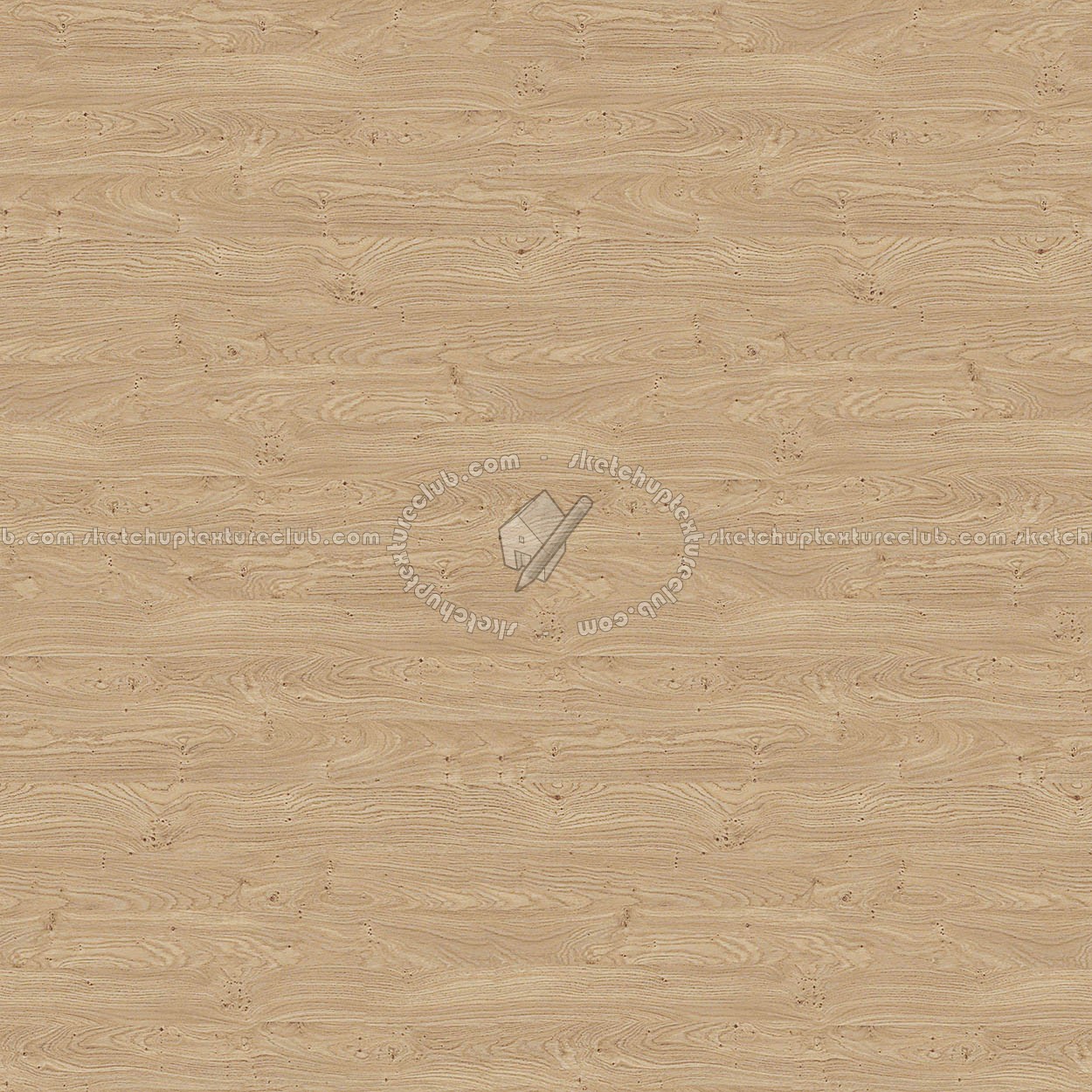 Textures   -   ARCHITECTURE   -   WOOD   -   Fine wood   -   Light wood  - Light wood fine texture seamless 04367 (seamless)