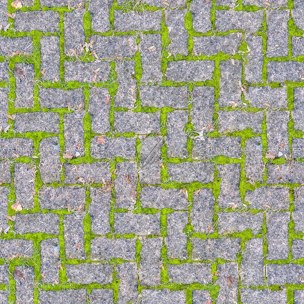 Textures   -   ARCHITECTURE   -   PAVING OUTDOOR   -   Concrete   -   Herringbone  - Herringbone concrete damaged paving outdoor with moss texture seamless 19275 (seamless)