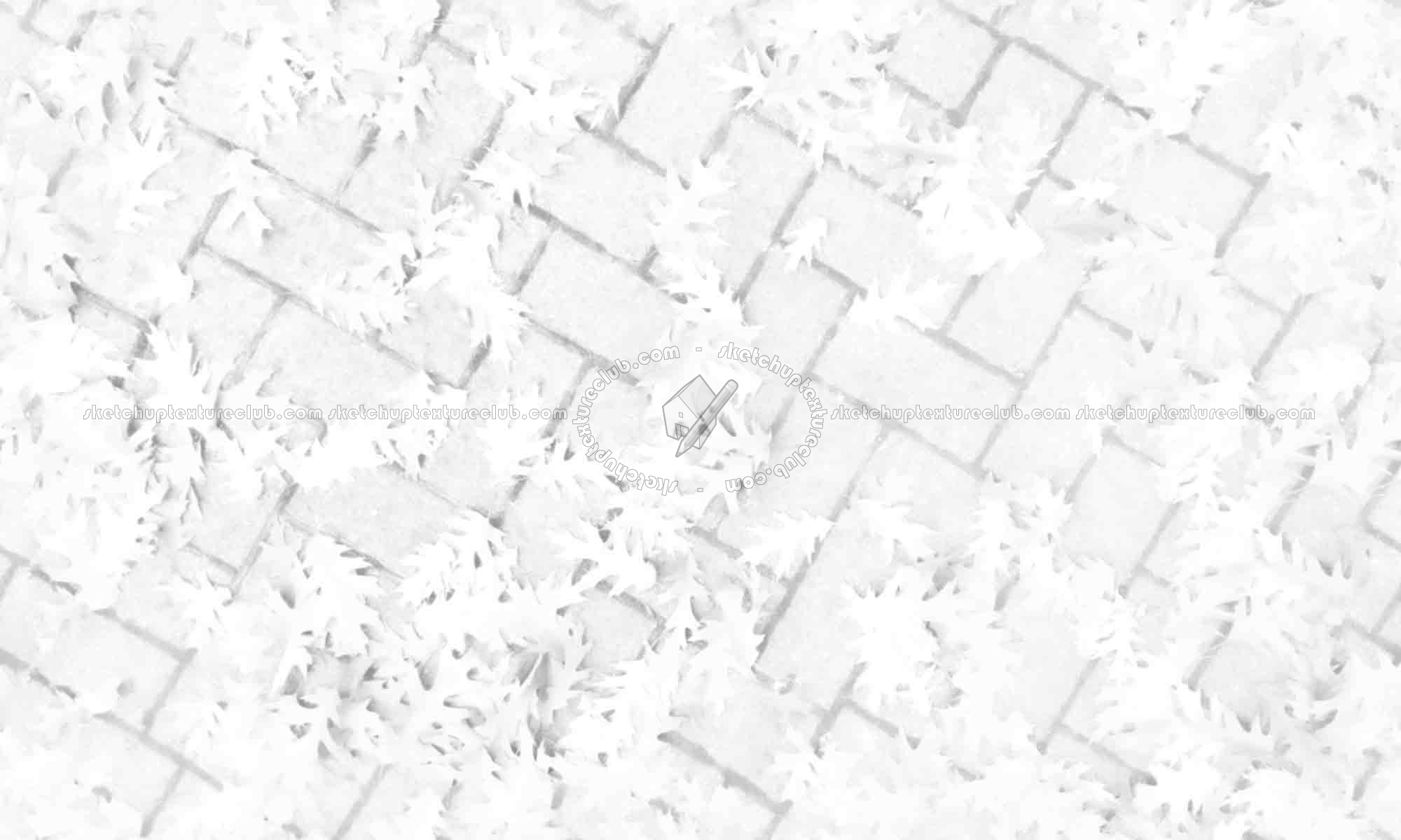 Textures   -   ARCHITECTURE   -   PAVING OUTDOOR   -   Concrete   -   Herringbone  - Herringbone concrete paving outdoor with leaves dead texture seamless 19282 - Ambient occlusion
