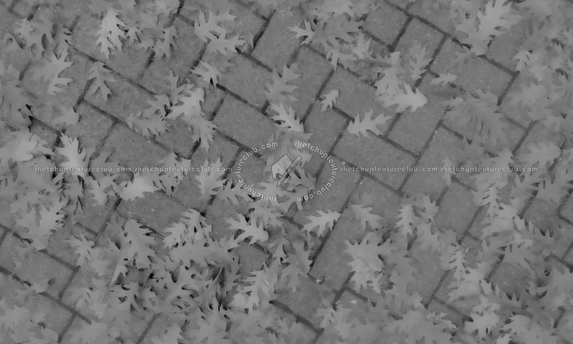 Textures   -   ARCHITECTURE   -   PAVING OUTDOOR   -   Concrete   -   Herringbone  - Herringbone concrete paving outdoor with leaves dead texture seamless 19282 - Displacement