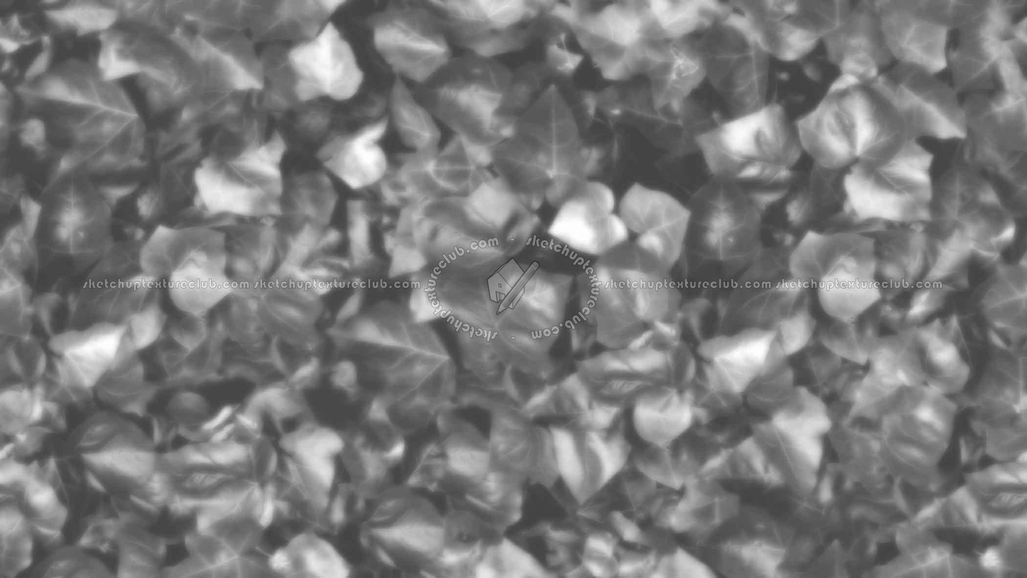 Textures - NATURE ELEMENTS - VEGETATION - Hedges - Ivy hedge texture seamless 20734 - Displacement