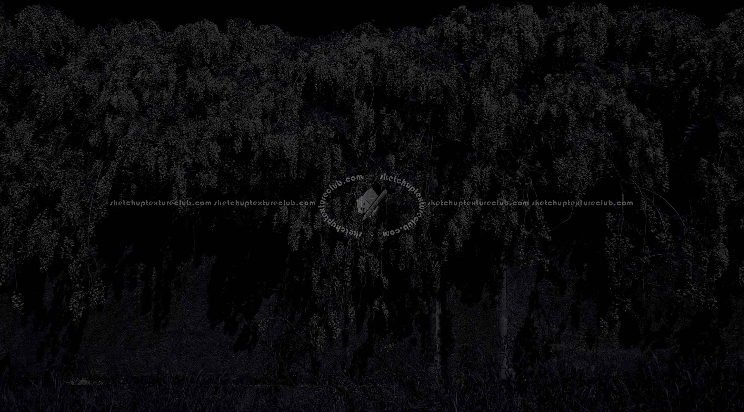 Textures   -   NATURE ELEMENTS   -   VEGETATION   -   Hedges  - Cement wall with wisteria cut out seamless 20735 - Specular