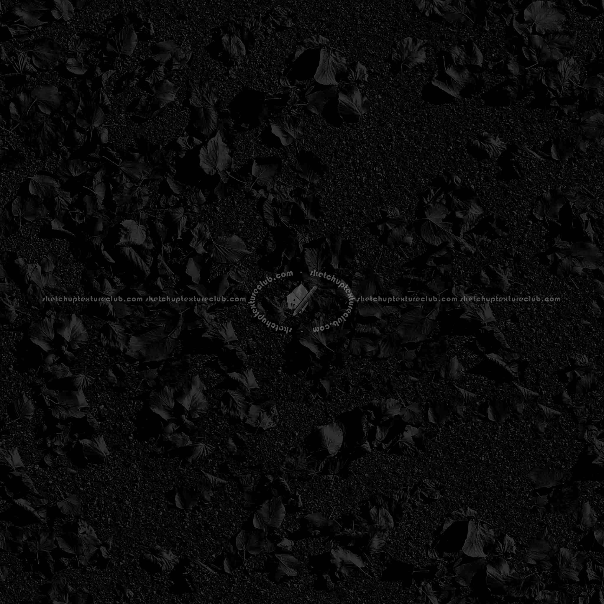 Textures   -   NATURE ELEMENTS   -   VEGETATION   -   Leaves dead  - Leaves dead on the asphalt texture seamless 20452 - Specular