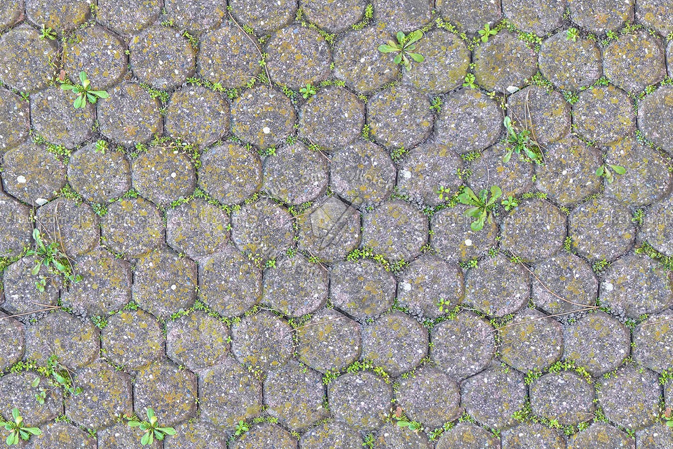 Textures   -   ARCHITECTURE   -   PAVING OUTDOOR   -   Concrete   -   Blocks damaged  - Concrete paving outdoor damaged texture seamless 20475 (seamless)