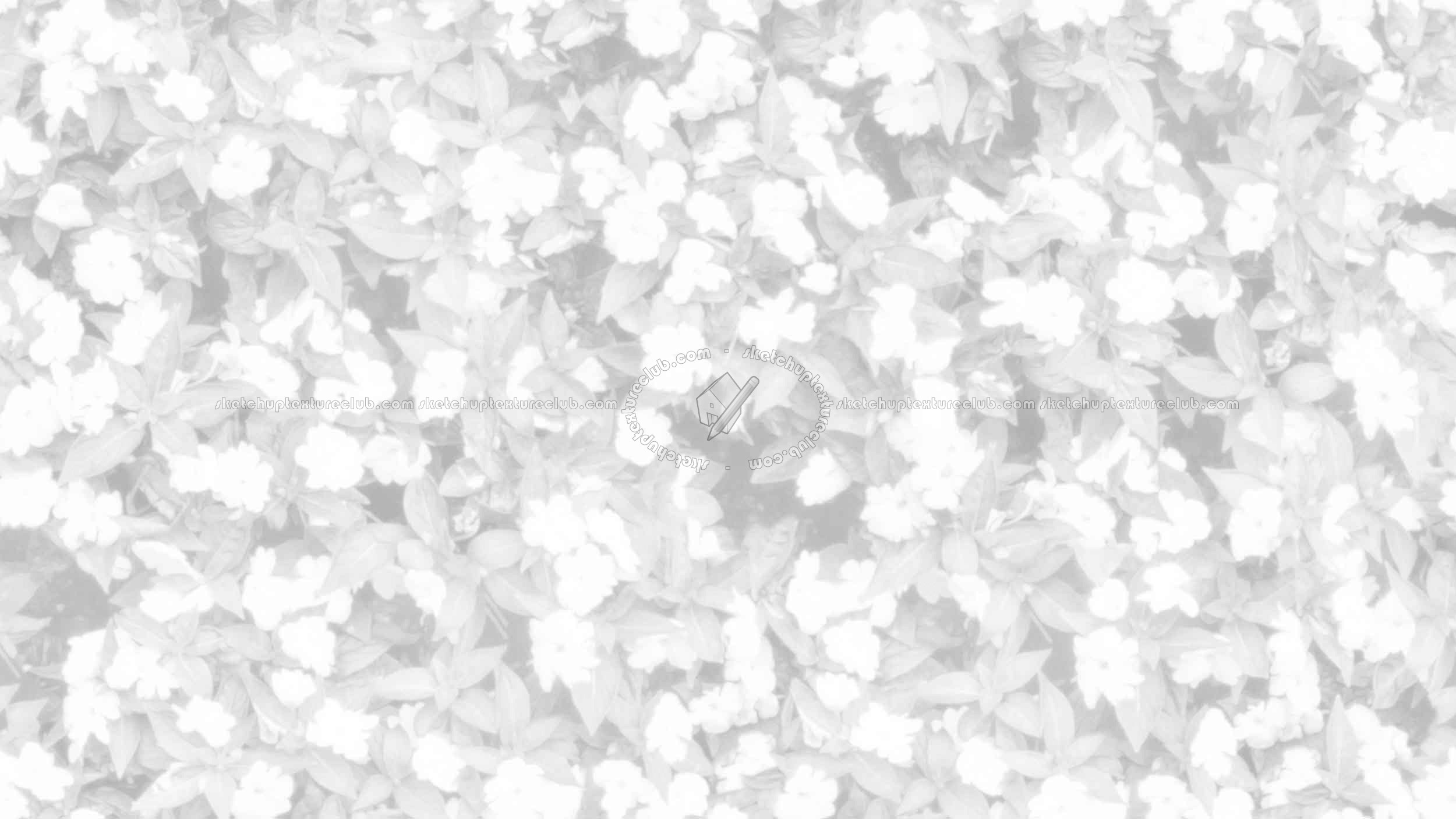 Textures - NATURE ELEMENTS - VEGETATION - Hedges - Flowered hedge texture seamless 20780 - Ambient occlusion